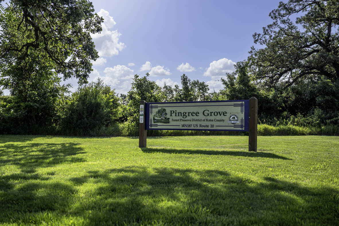 1484 Sequoia Way Pingree Grove, IL 60140 - Photo 47 of 53