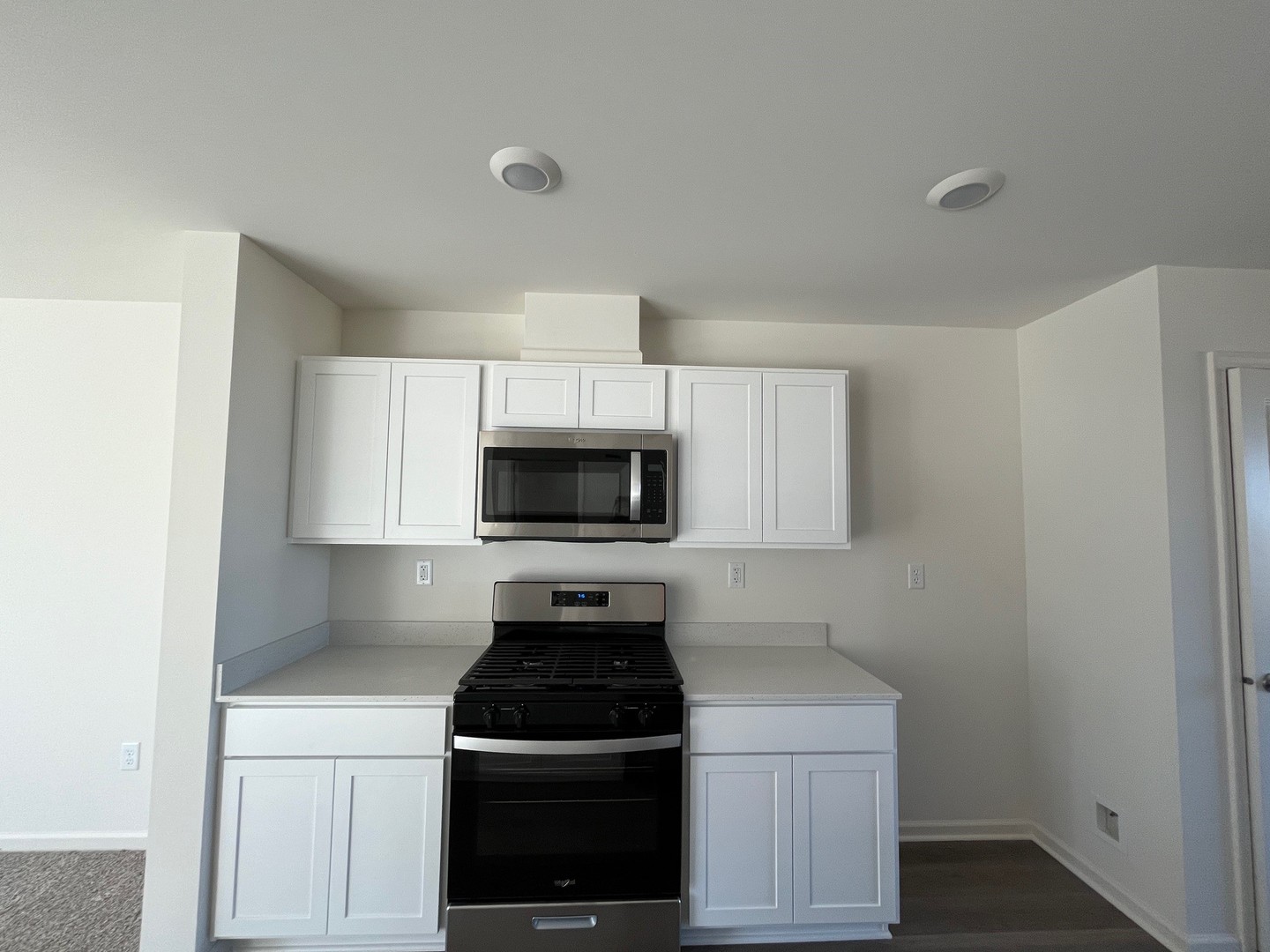 1484 Sequoia Way Pingree Grove, IL 60140 - Photo 6 of 53