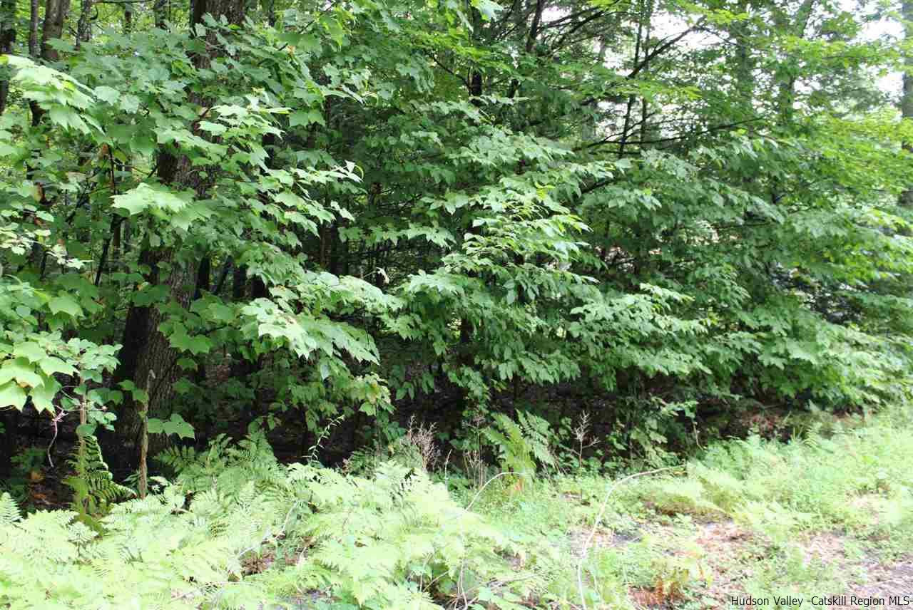 Tbd Trails End Road Kerhonkson, NY 12446 - Photo 1 of 4 a view of a lush green forest