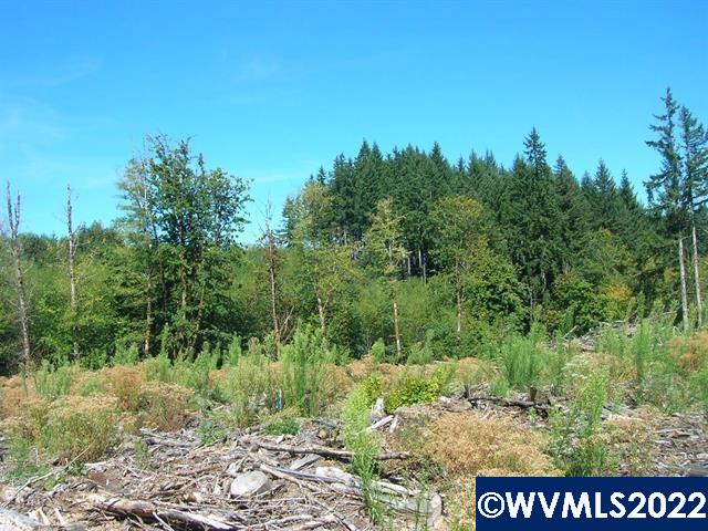 Chapman Grange (lot Road, Unit 25 & 26) Scappoose, OR 97056 - Photo 1 of 7