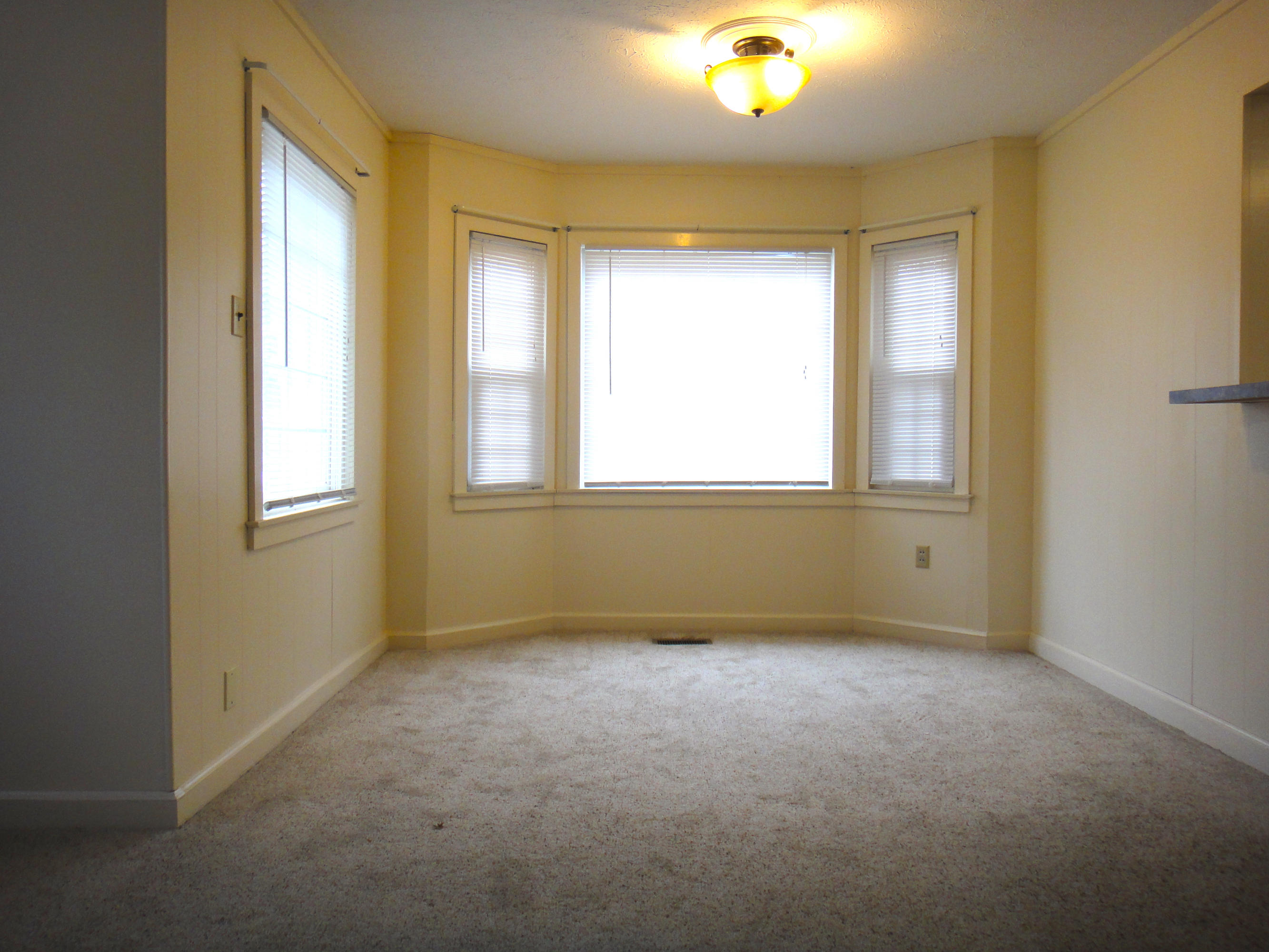 220 Outer Drive Oak Ridge, TN 37830 - Photo 7 of 18 DSC01996 - Version 2