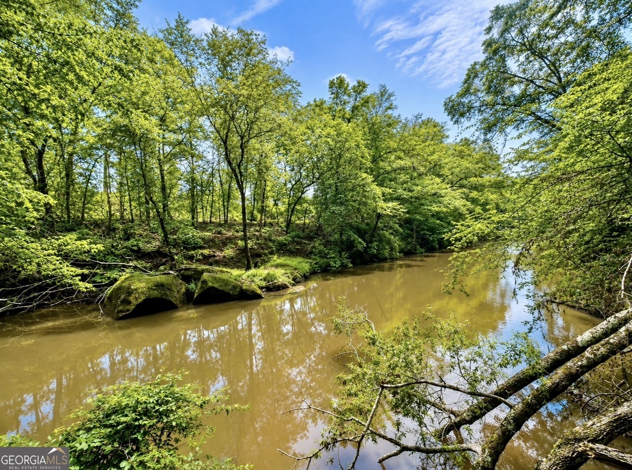 0 Rocky Creek Road Thomaston, GA 30286 - Photo 1 of 30