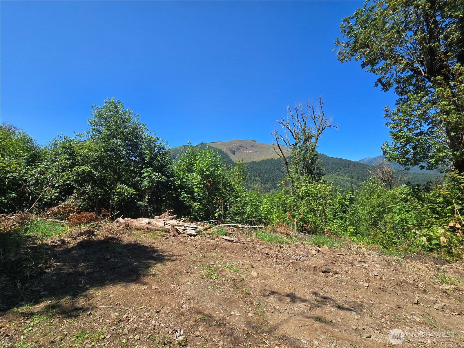 0 Highland Valley Road Morton, WA 98356 - Photo 3 of 9