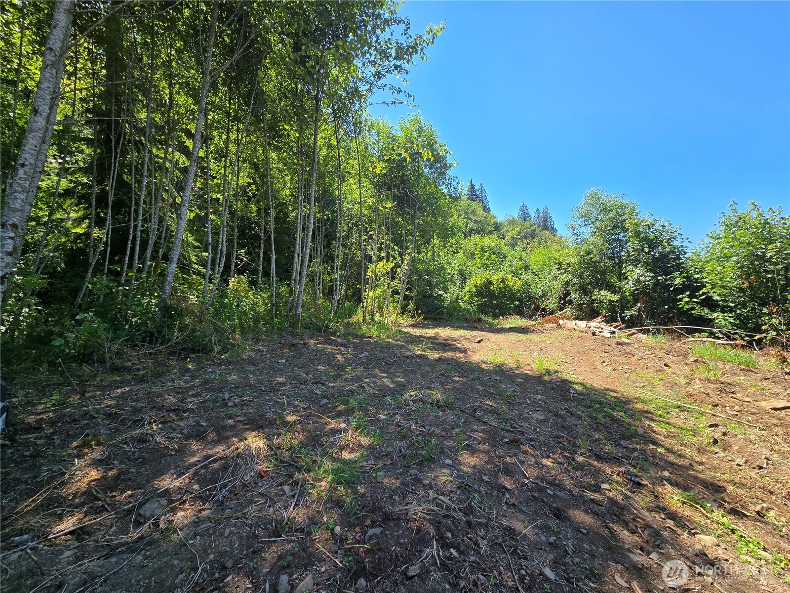 0 Highland Valley Road Morton, WA 98356 - Photo 5 of 9