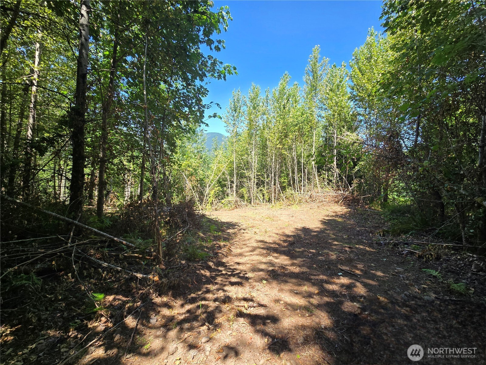 0 Highland Valley Road Morton, WA 98356 - Photo 7 of 9