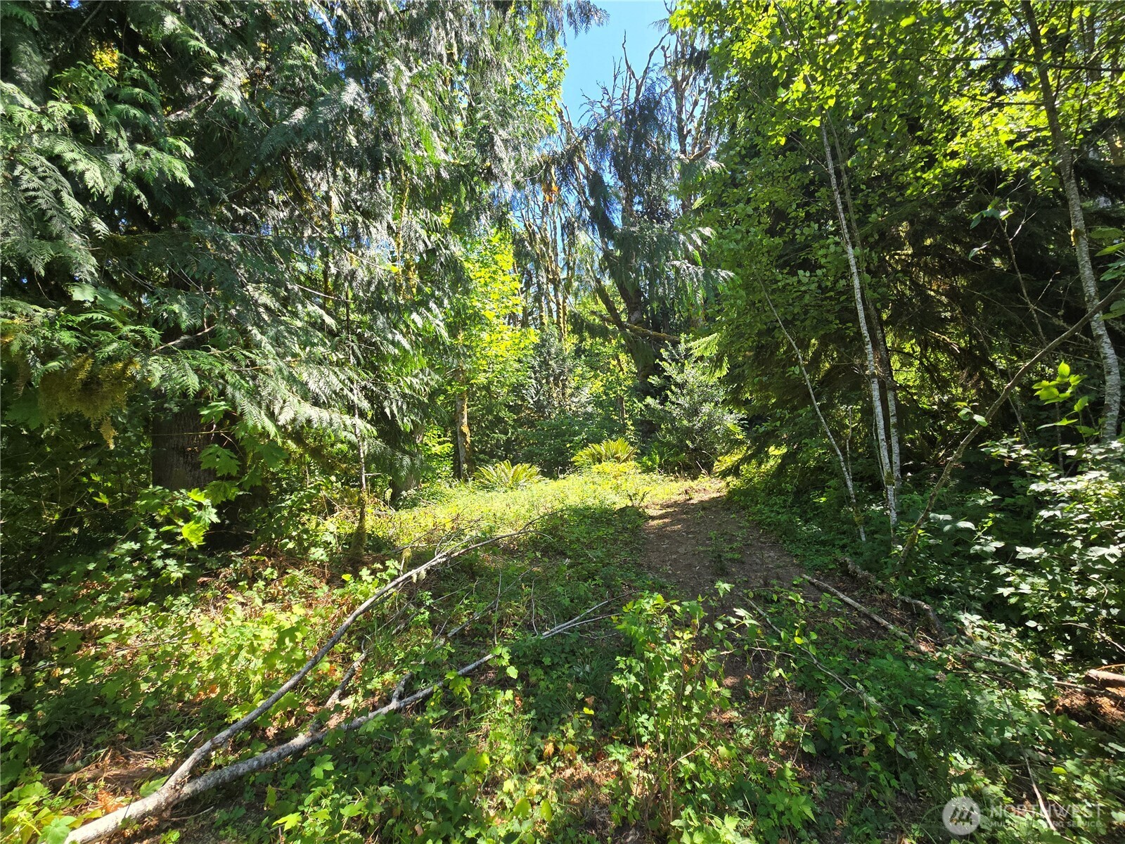 0 Highland Valley Road Morton, WA 98356 - Photo 8 of 9