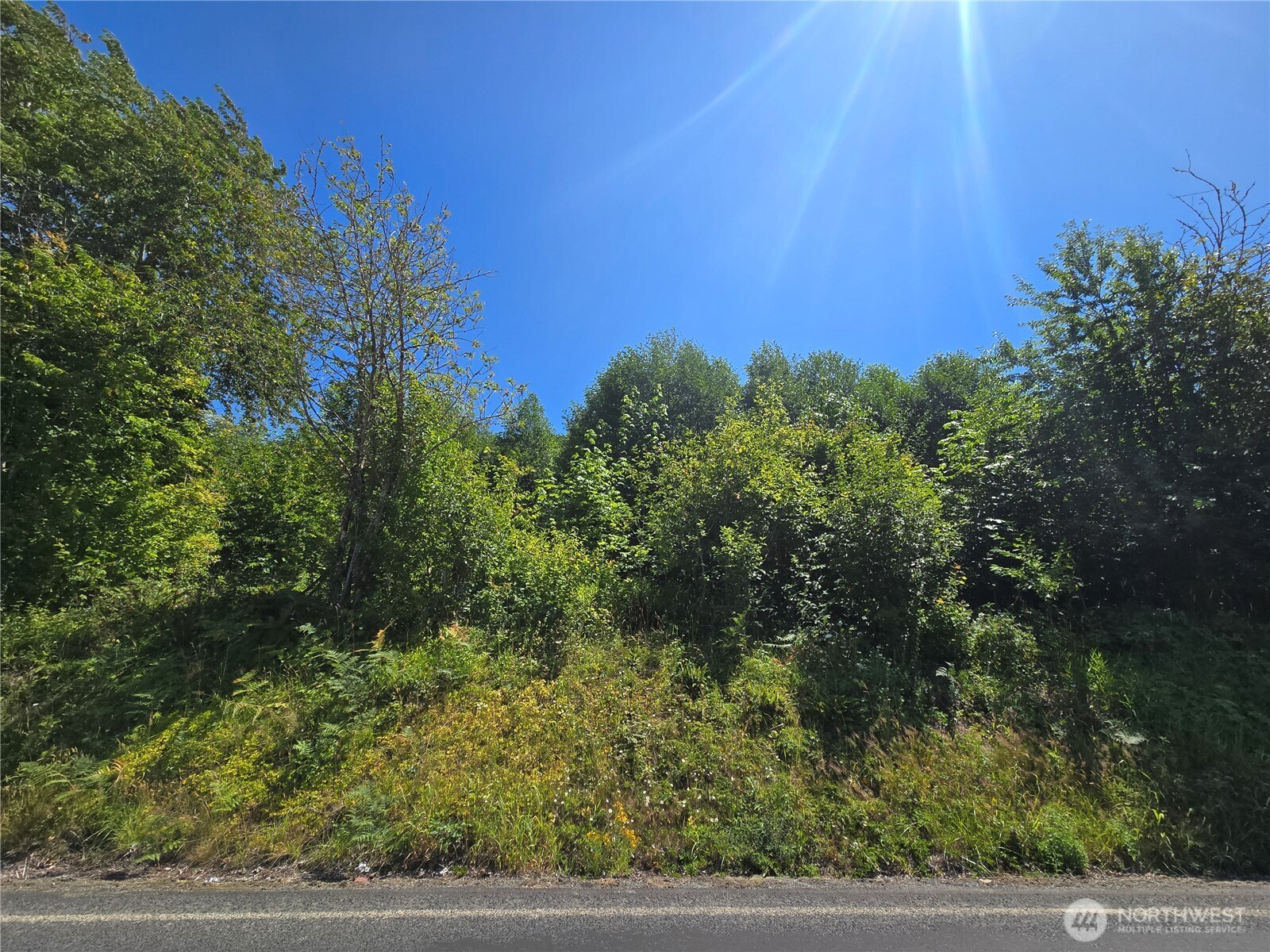 0 Highland Valley Road Morton, WA 98356 - Photo 9 of 9