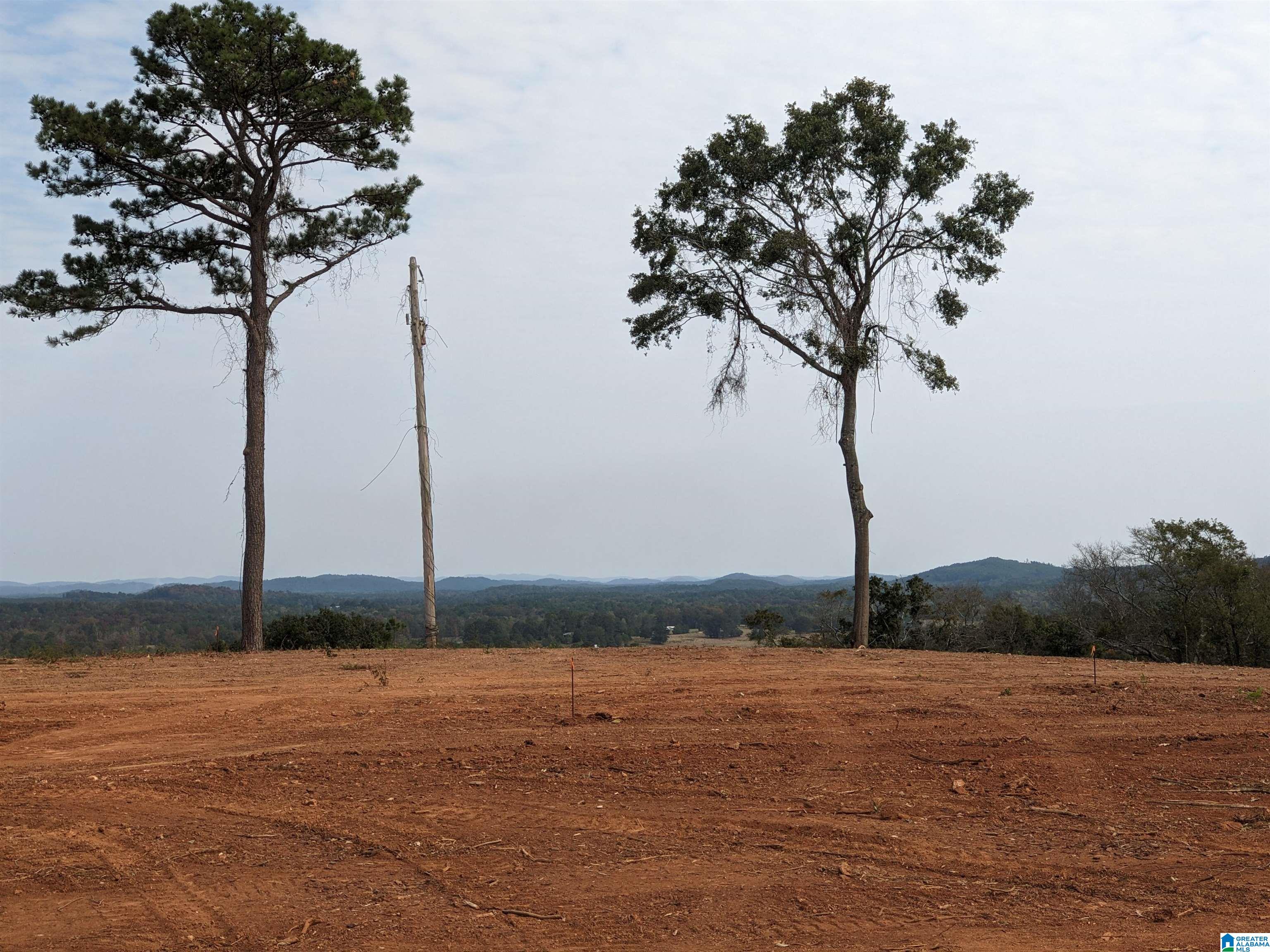16091 Jackson Trace Road Lincoln, AL 35096 - Photo 7 of 17