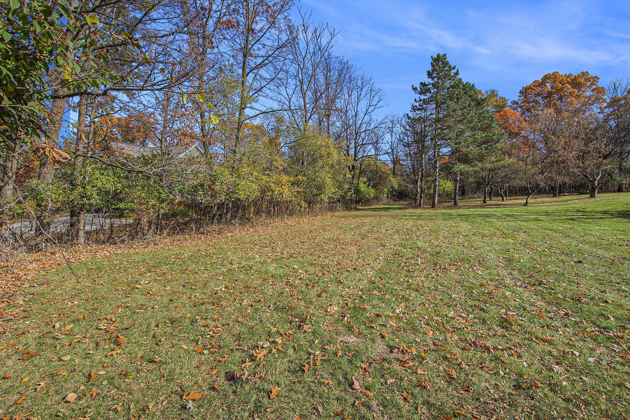 2374 Newport Road Ann Arbor, MI 48103 - Photo 6 of 23 013_file_833