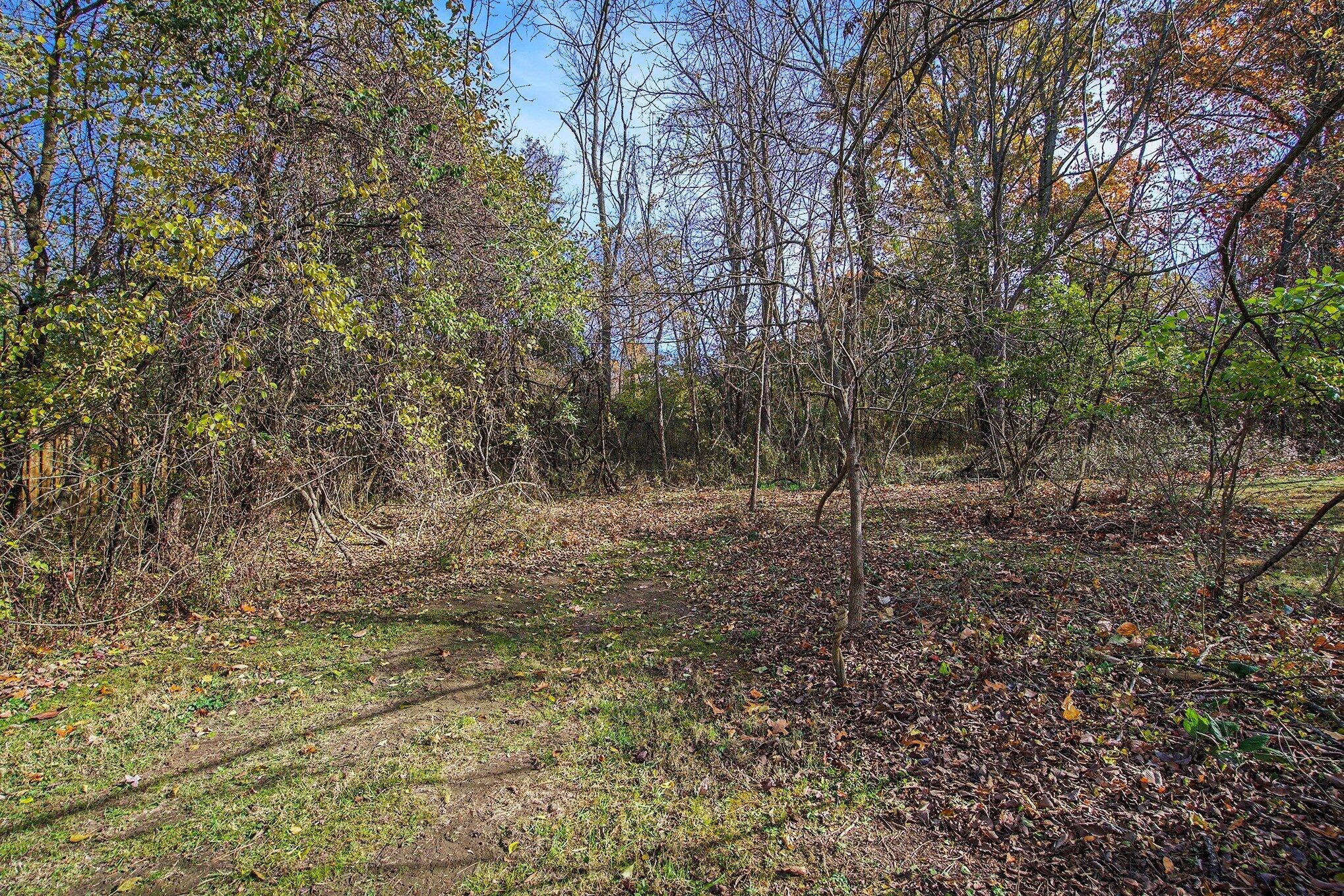 2374 Newport Road Ann Arbor, MI 48103 - Photo 7 of 23 019_file_551