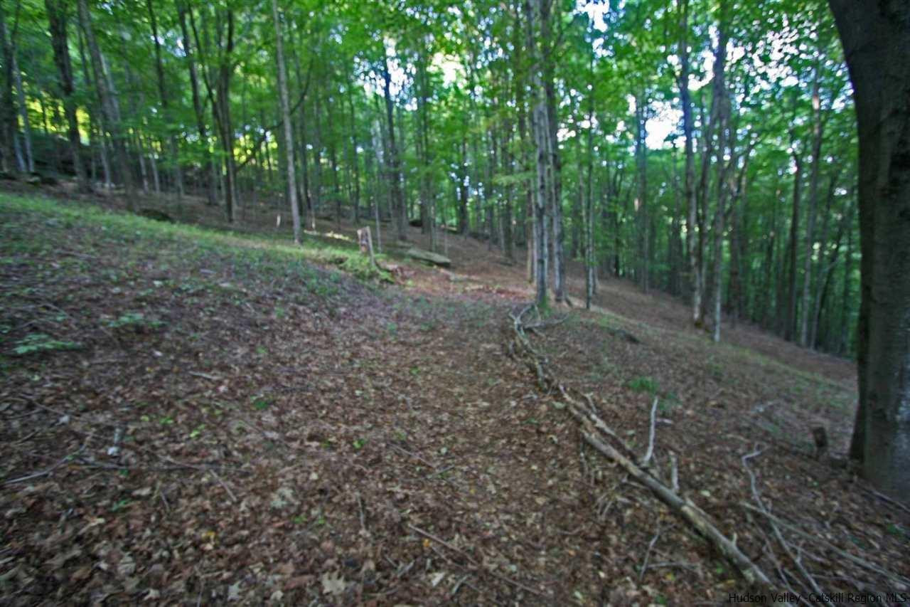 188 Old Town Road Denver, NY 12421 - Photo 27 of 29 Photo 27