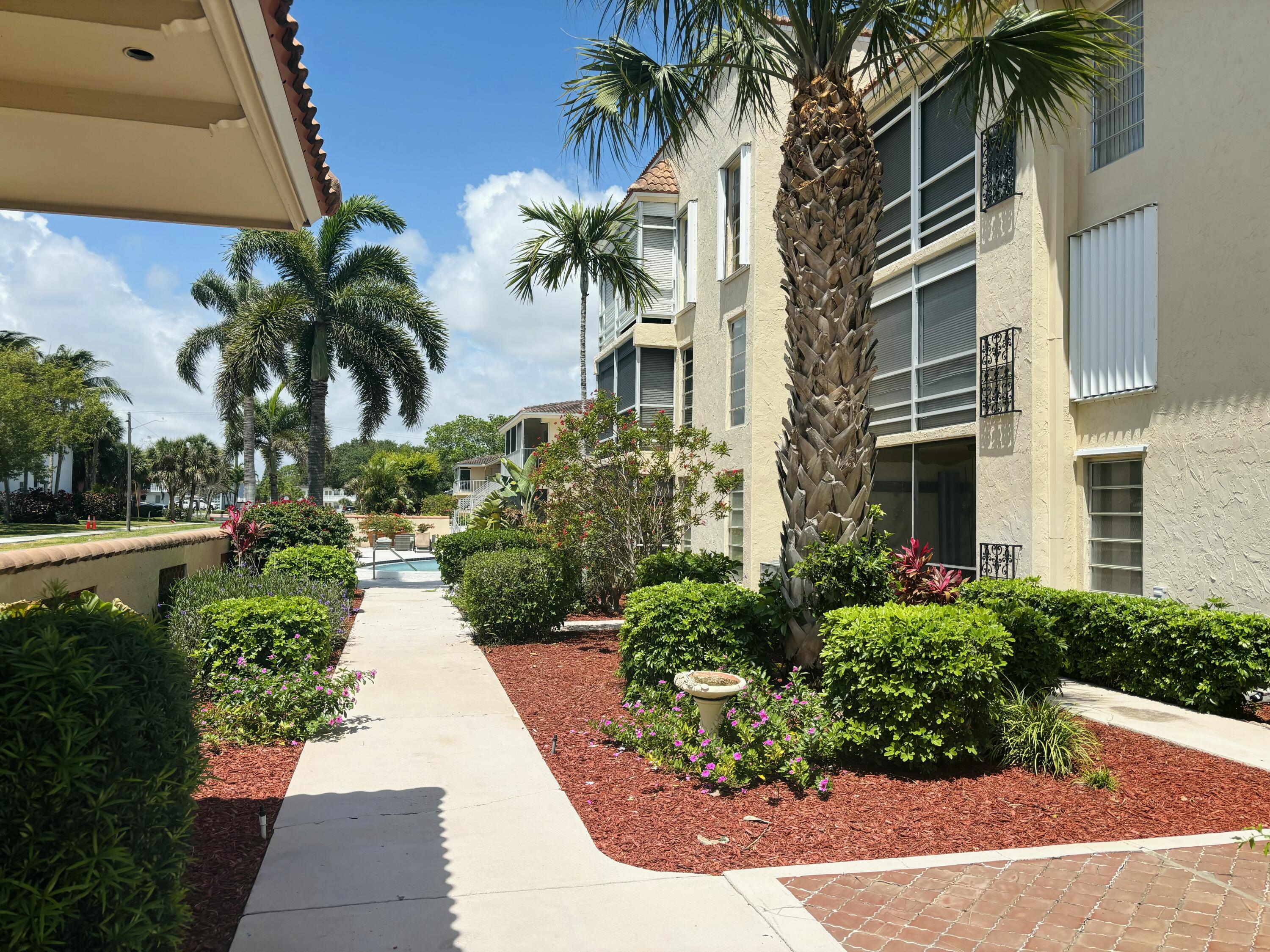 331 Southwest 8th Street, Unit 2CE Boca Raton, FL 33432 - Photo 17 of 19 a view of a yard with palm trees