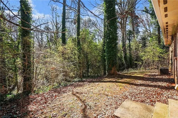 a view of a yard with trees
