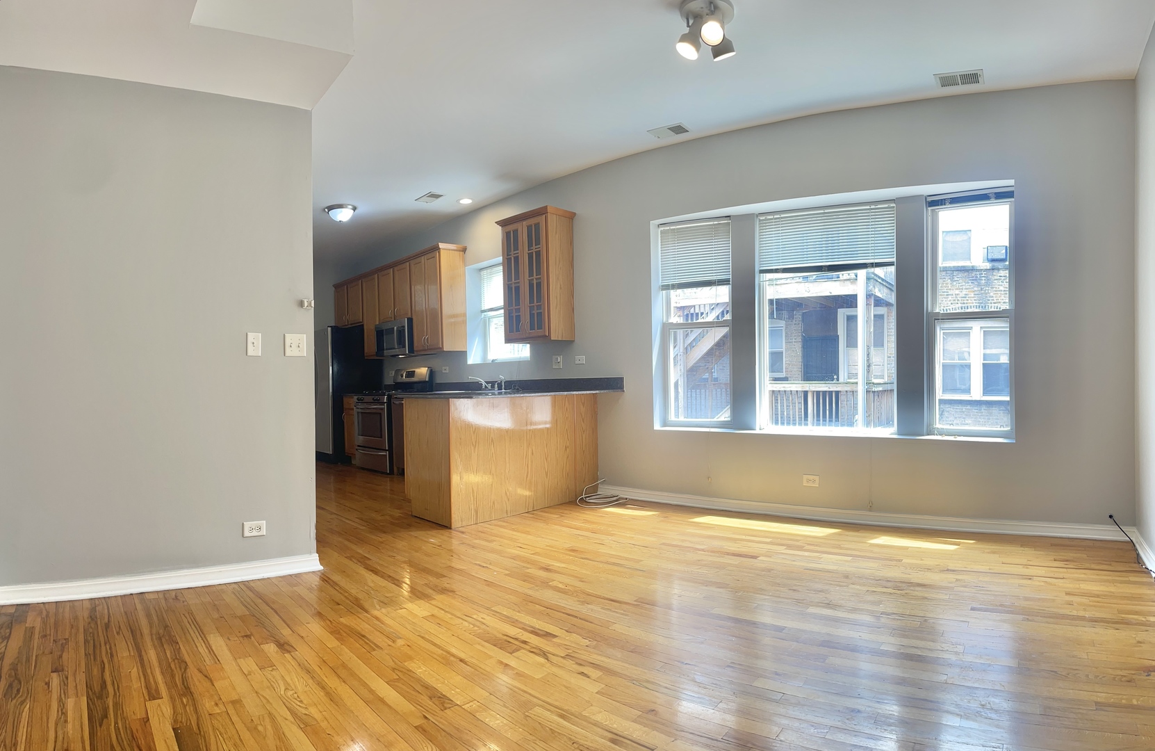 4451 South Indiana Avenue, Unit 2S Chicago, IL 60653 - Photo 5 of 22