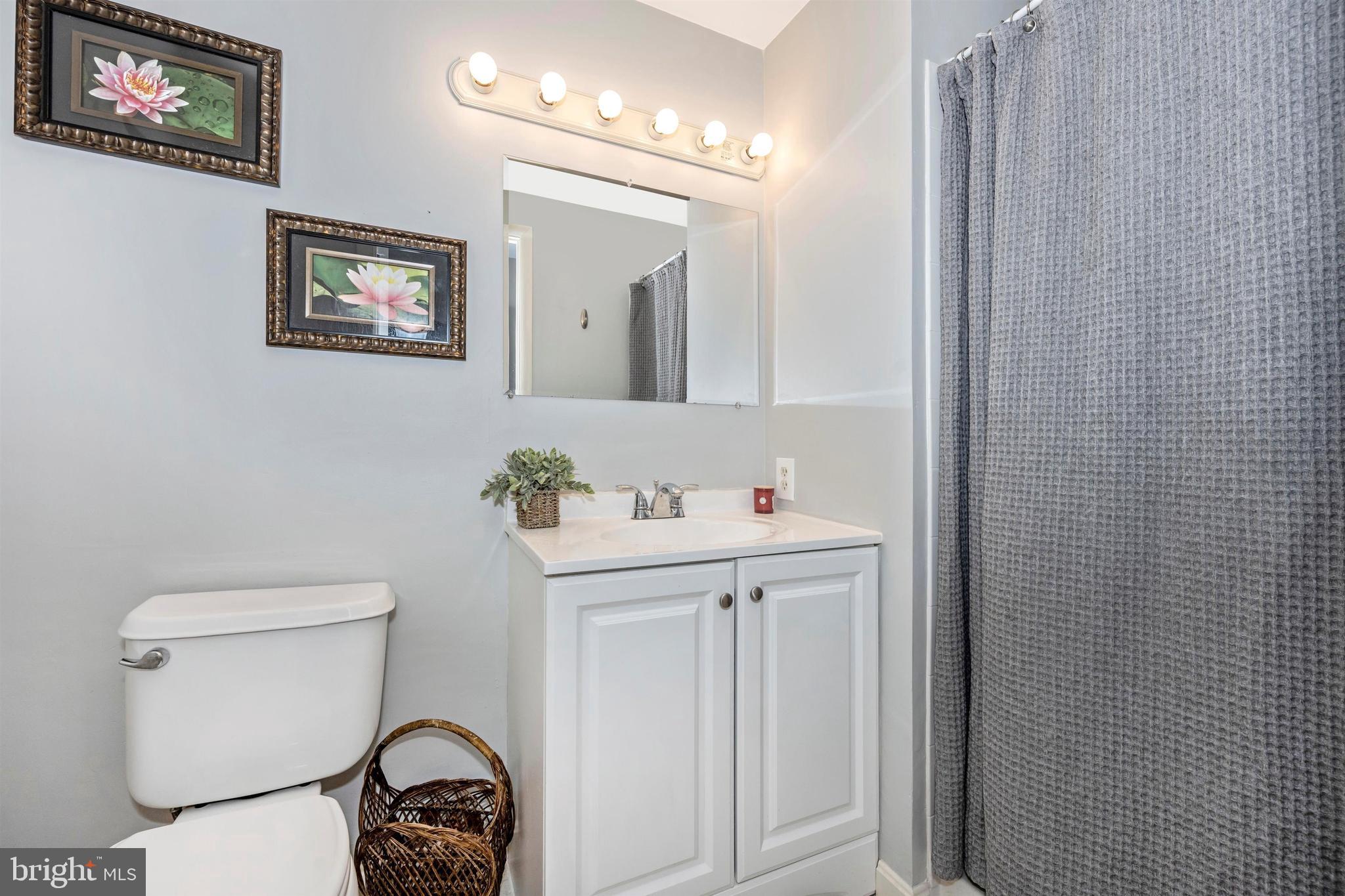 9735 Early Spring Way Columbia, MD 21046 - Photo 21 of 25 Third Full Bath in Lower Level