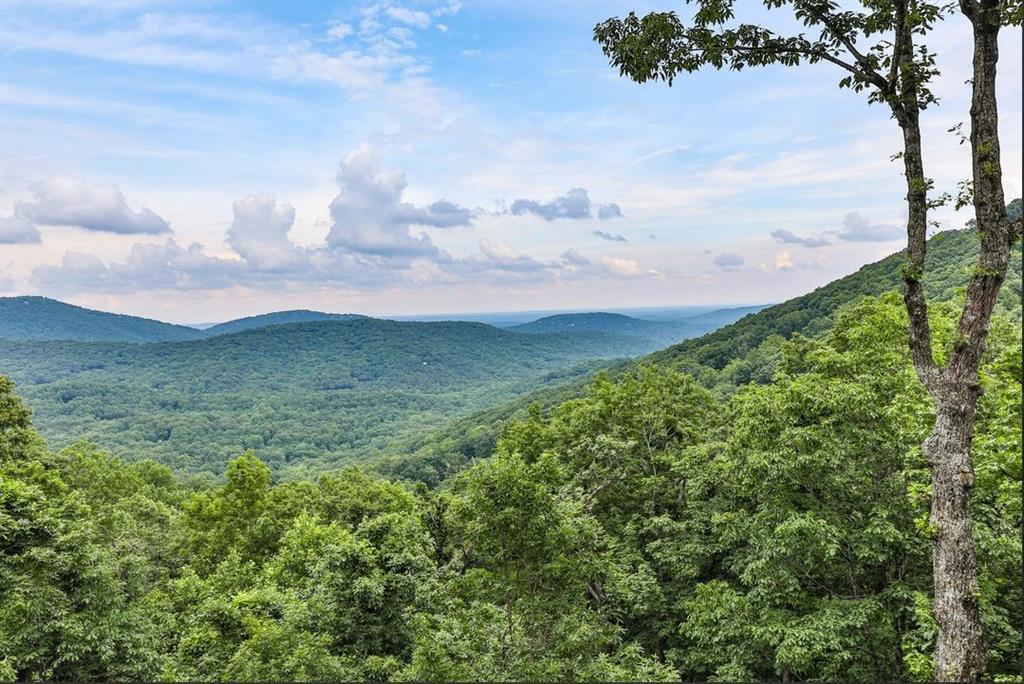 43 Toland Way Big Canoe, GA 30143 - Photo 26 of 50 a view of a city with lush green forest