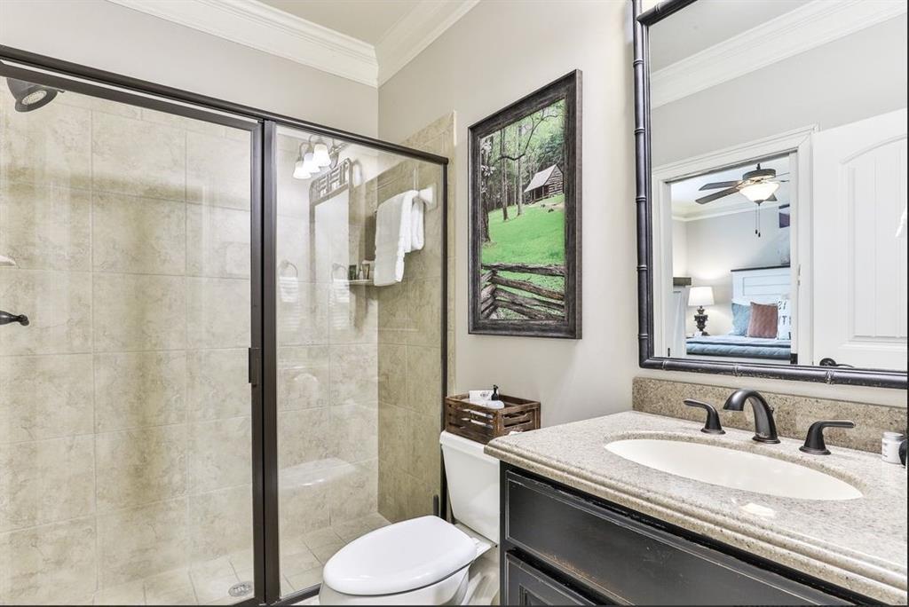 43 Toland Way Big Canoe, GA 30143 - Photo 30 of 50 a bathroom with a granite countertop sink toilet a mirror and shower