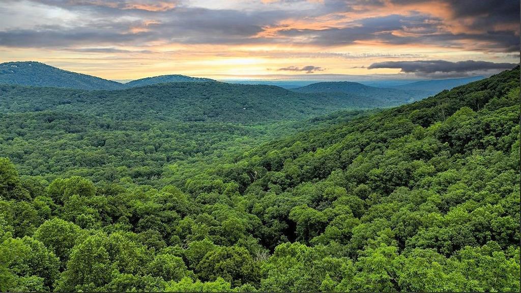 43 Toland Way Big Canoe, GA 30143 - Photo 47 of 50 a view of an mountain and green field