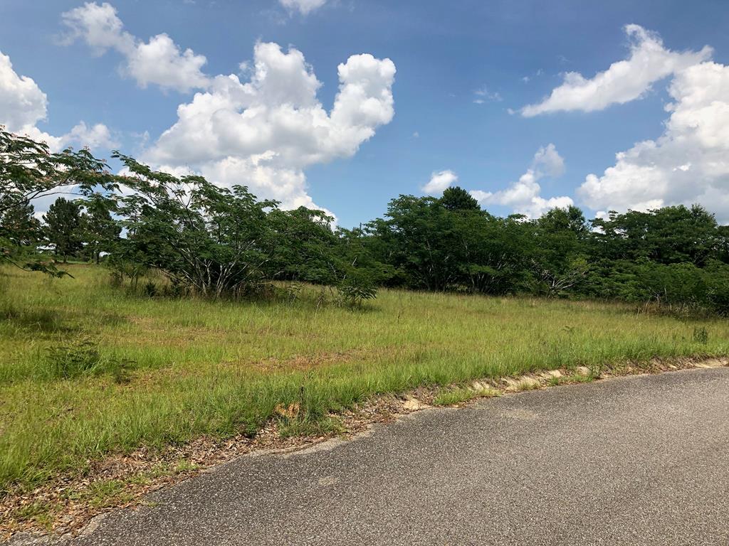 Lot 26 Ridge Drive Headland, AL 36345 - Photo 1 of 3