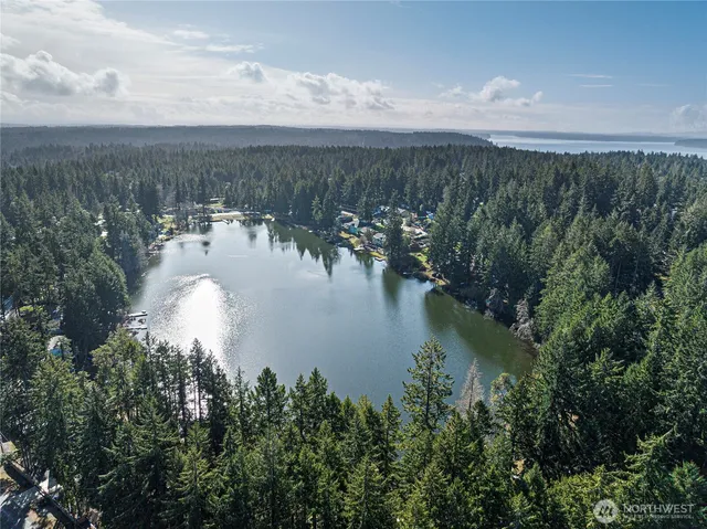 a view of a lake in middle of forest
