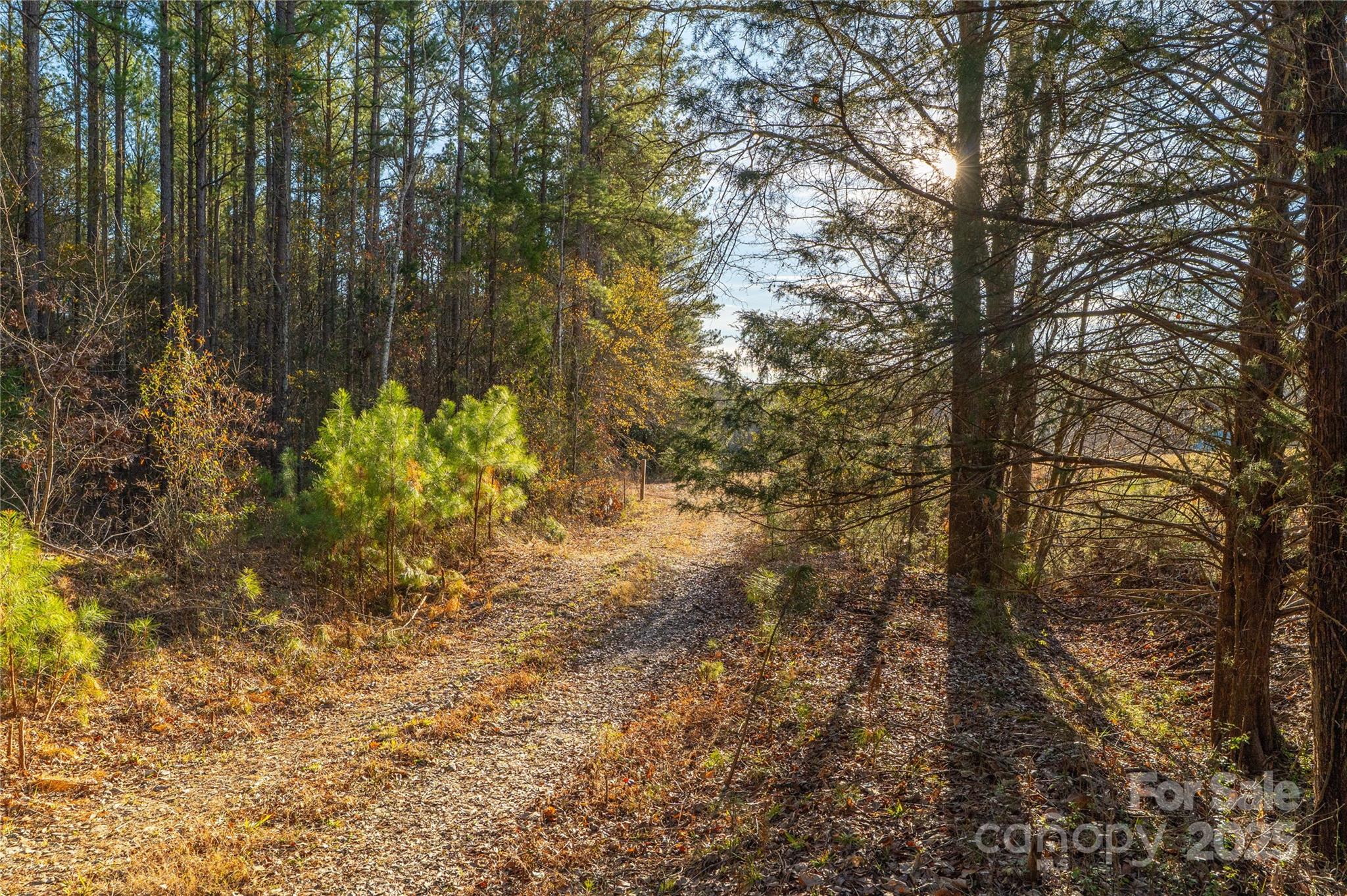 0 Quarter Round Road, Unit 9 Pacolet, SC 29372 - Photo 11 of 46 a view of a tree with a yard