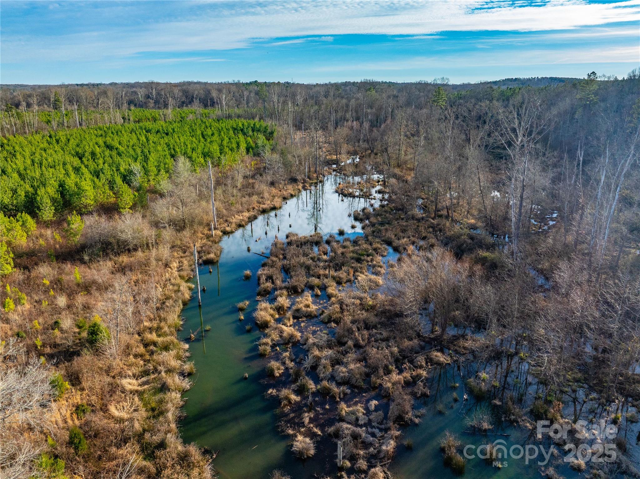 0 Quarter Round Road, Unit 9 Pacolet, SC 29372 - Photo 13 of 46 a view of a yard with plants and large trees