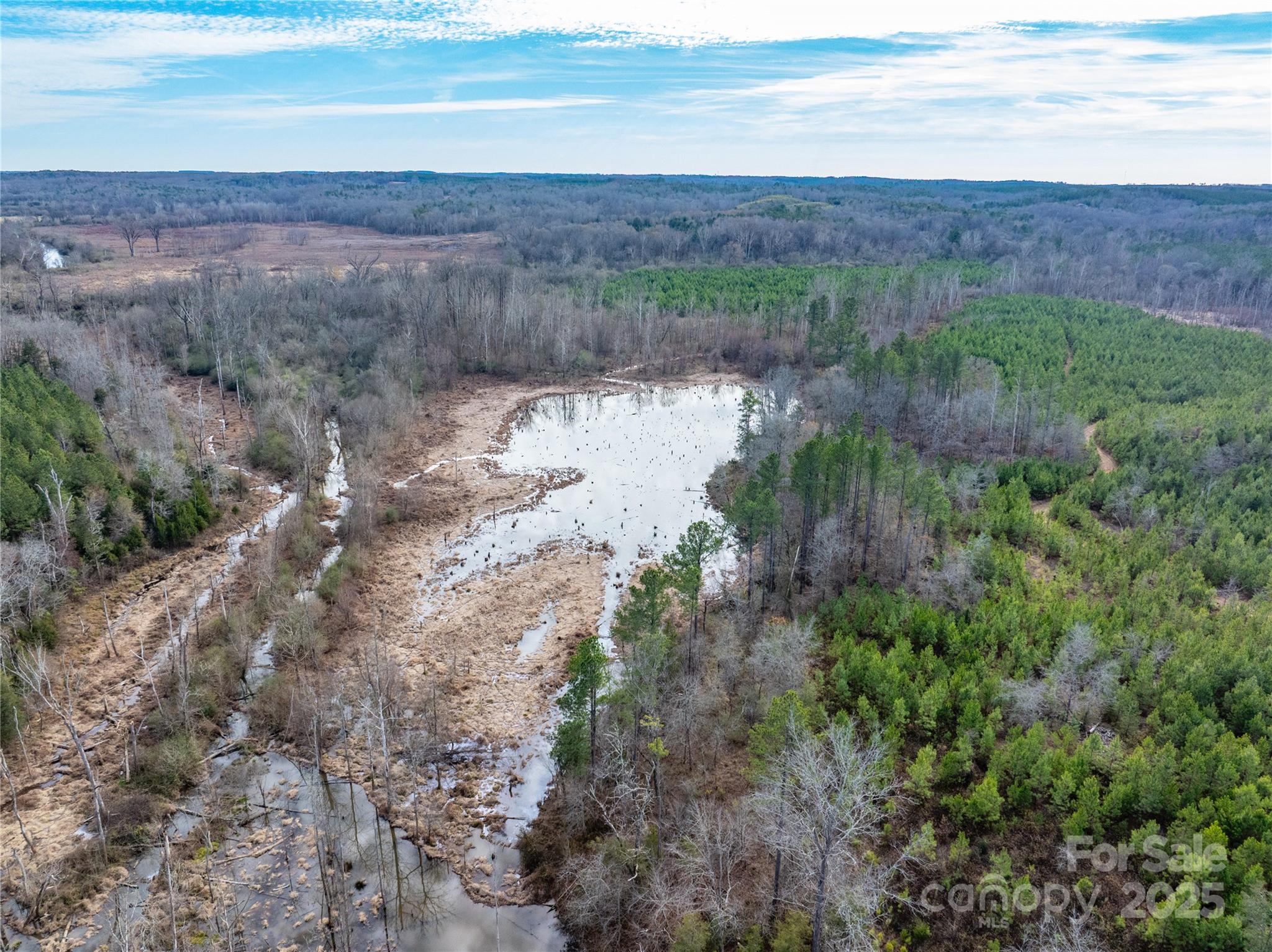 0 Quarter Round Road, Unit 9 Pacolet, SC 29372 - Photo 14 of 46 a view of a lake with beach and mountain view