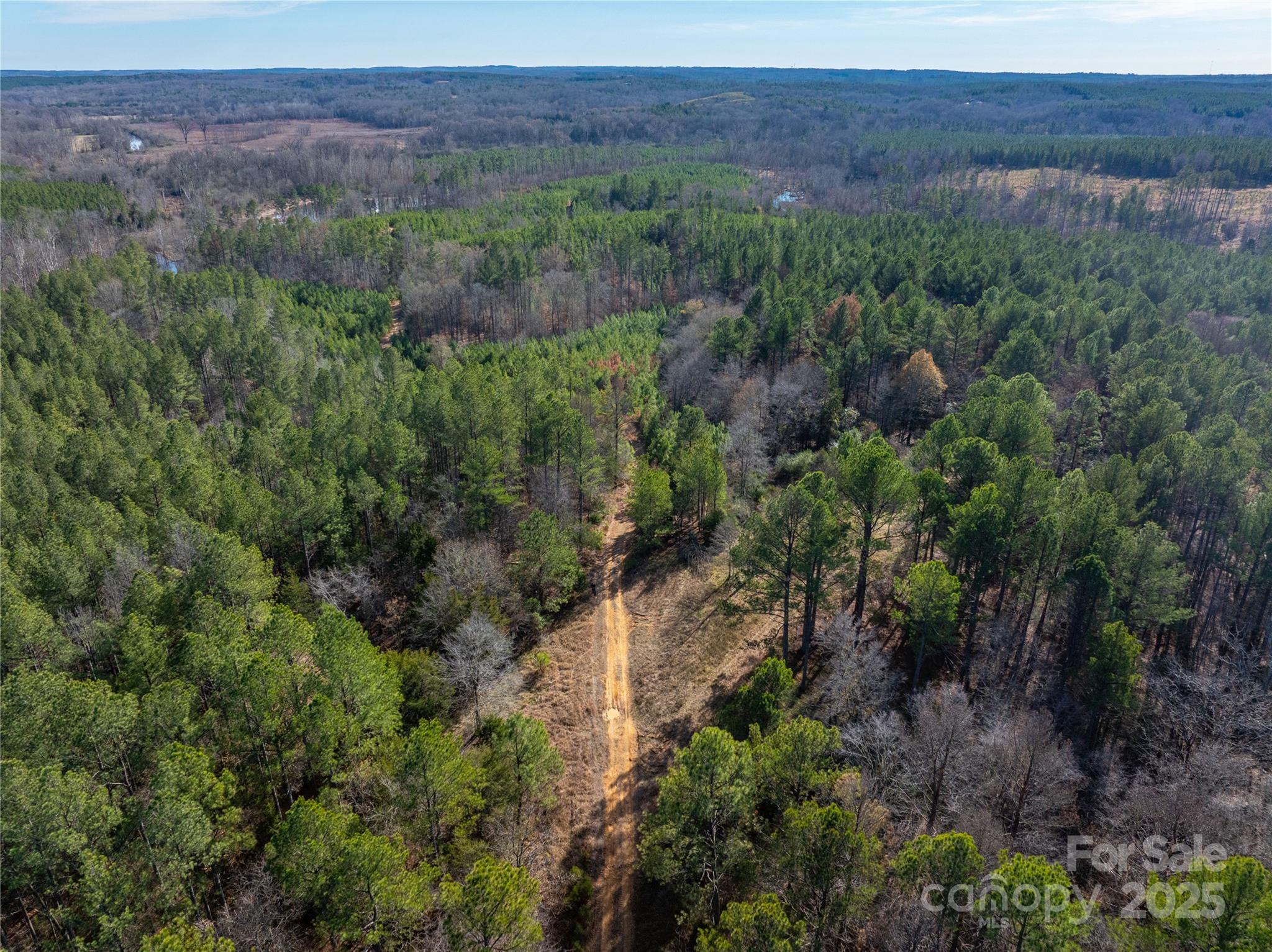 0 Quarter Round Road, Unit 9 Pacolet, SC 29372 - Photo 16 of 46 a view of a lush green forest with trees and some houses