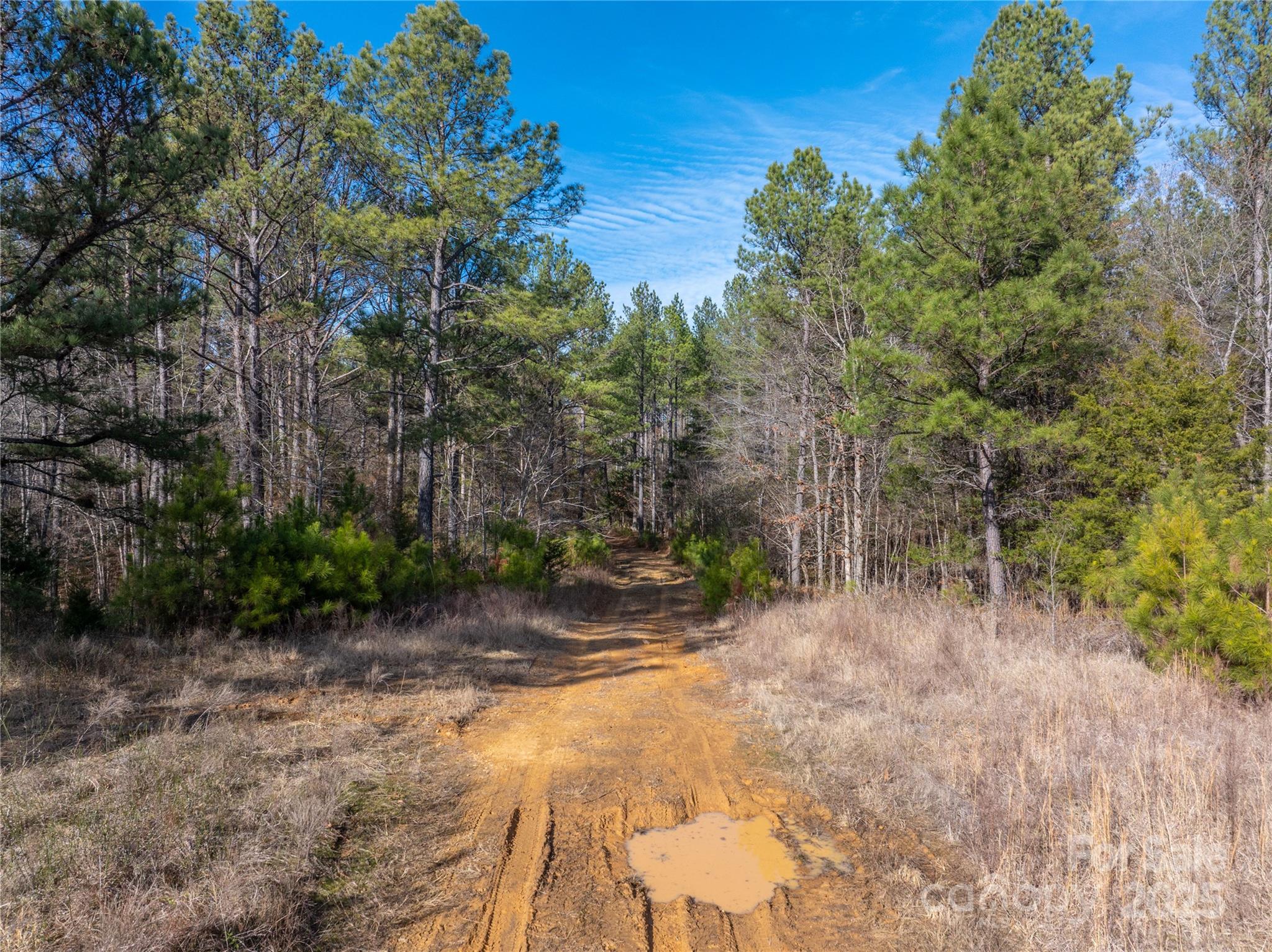 0 Quarter Round Road, Unit 9 Pacolet, SC 29372 - Photo 17 of 46 a backyard of a house with lots of green space