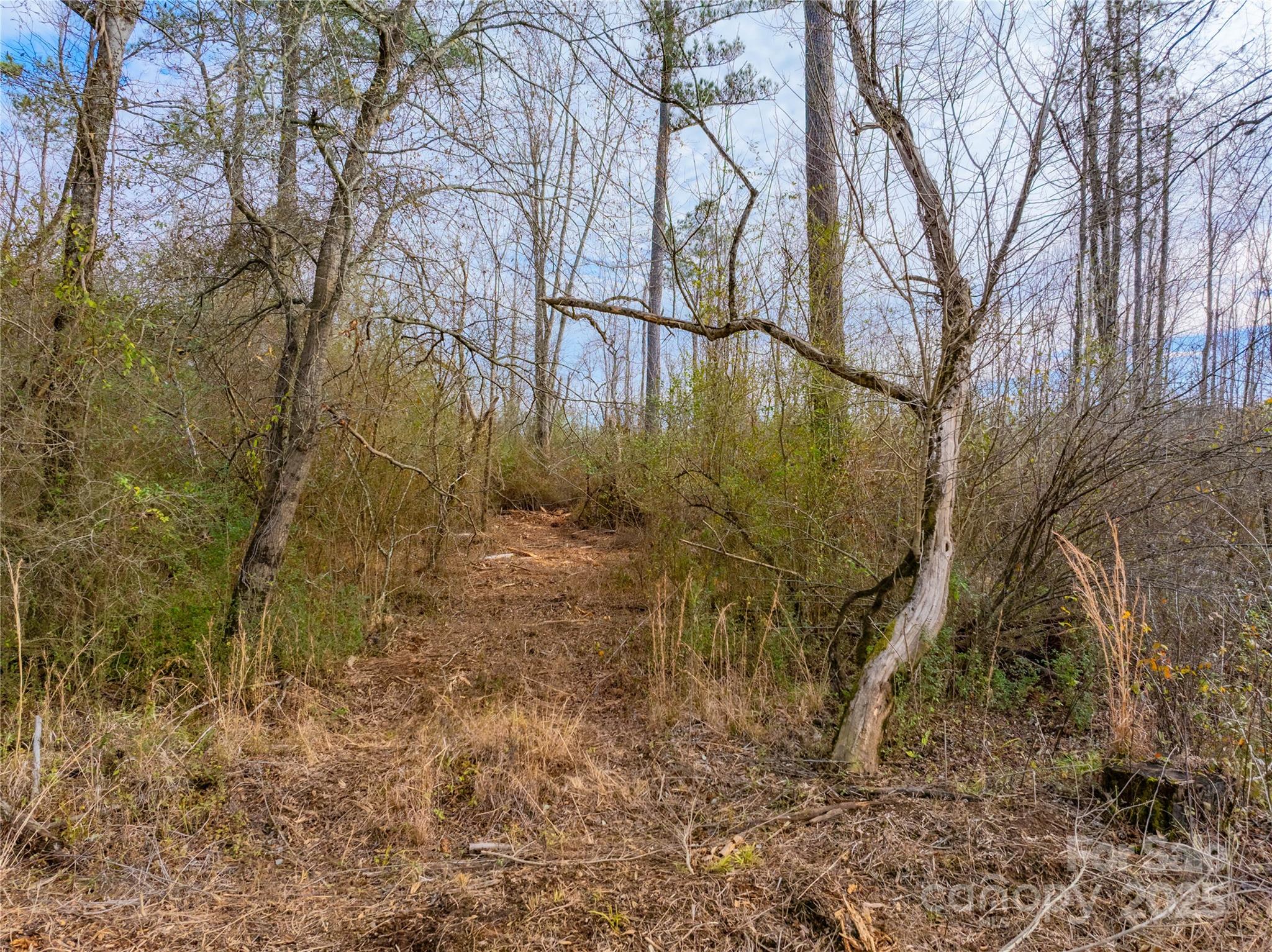 0 Quarter Round Road, Unit 9 Pacolet, SC 29372 - Photo 22 of 46 a backyard of a house with lots of green space