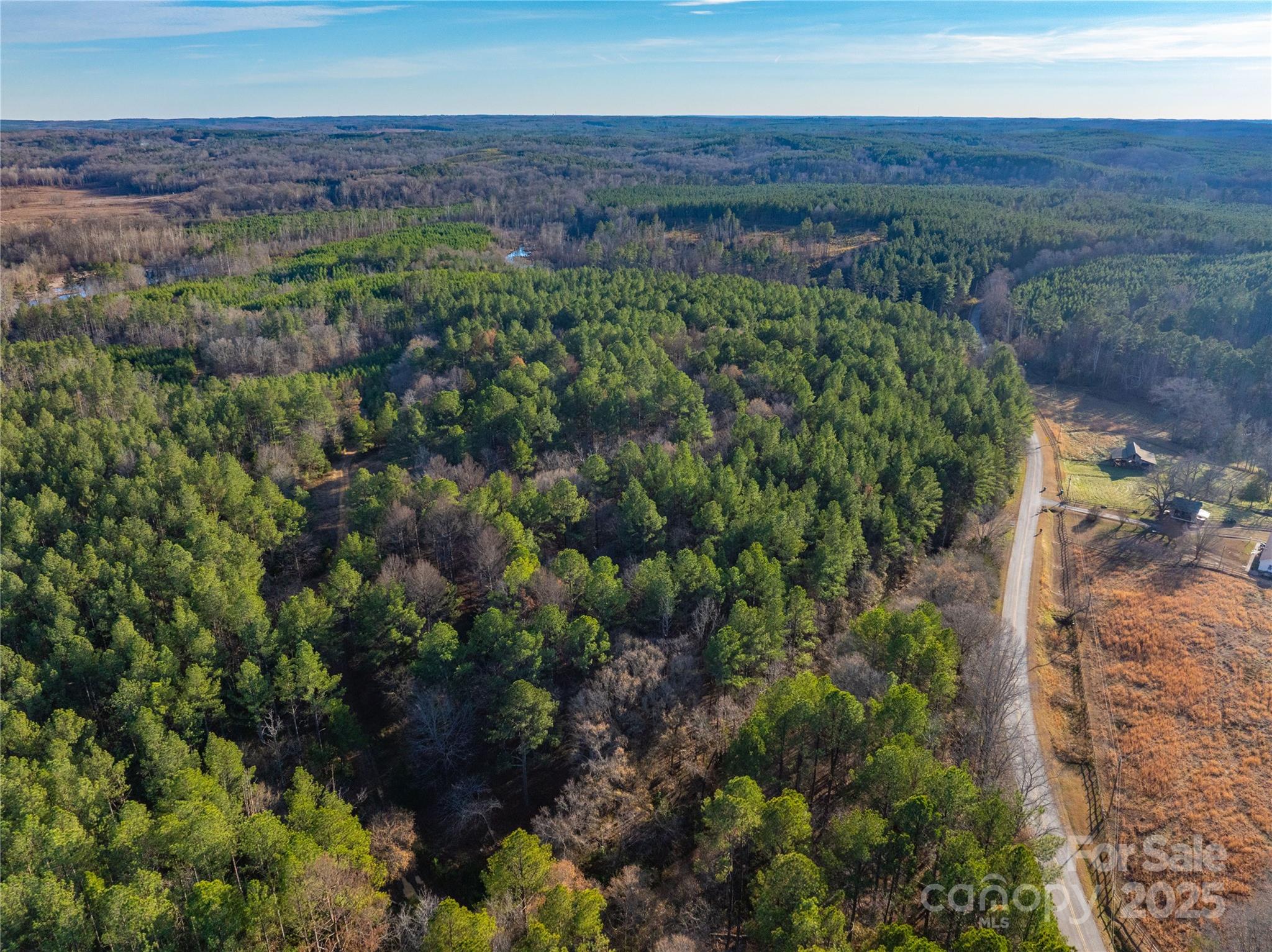 0 Quarter Round Road, Unit 9 Pacolet, SC 29372 - Photo 30 of 46 a view of a lush green forest with lots of trees