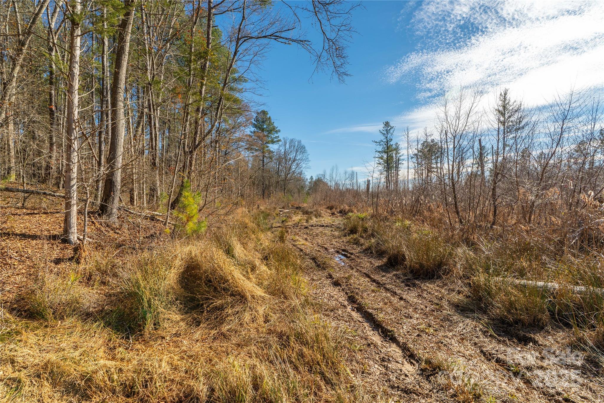0 Quarter Round Road, Unit 9 Pacolet, SC 29372 - Photo 34 of 46 a view of forest
