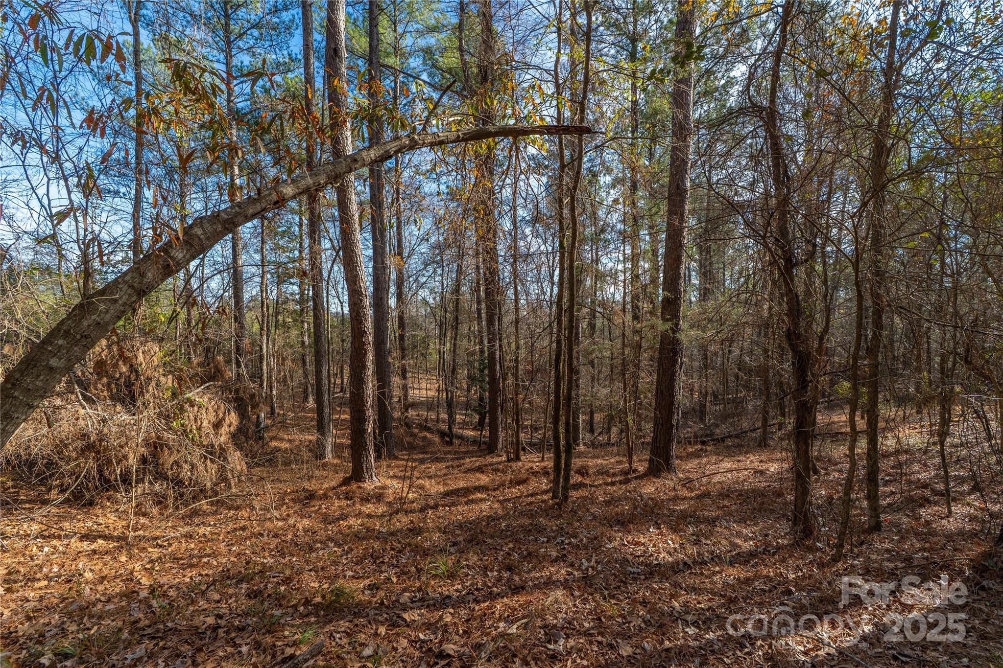 0 Quarter Round Road, Unit 9 Pacolet, SC 29372 - Photo 36 of 46 a view of outdoor space with lots of trees