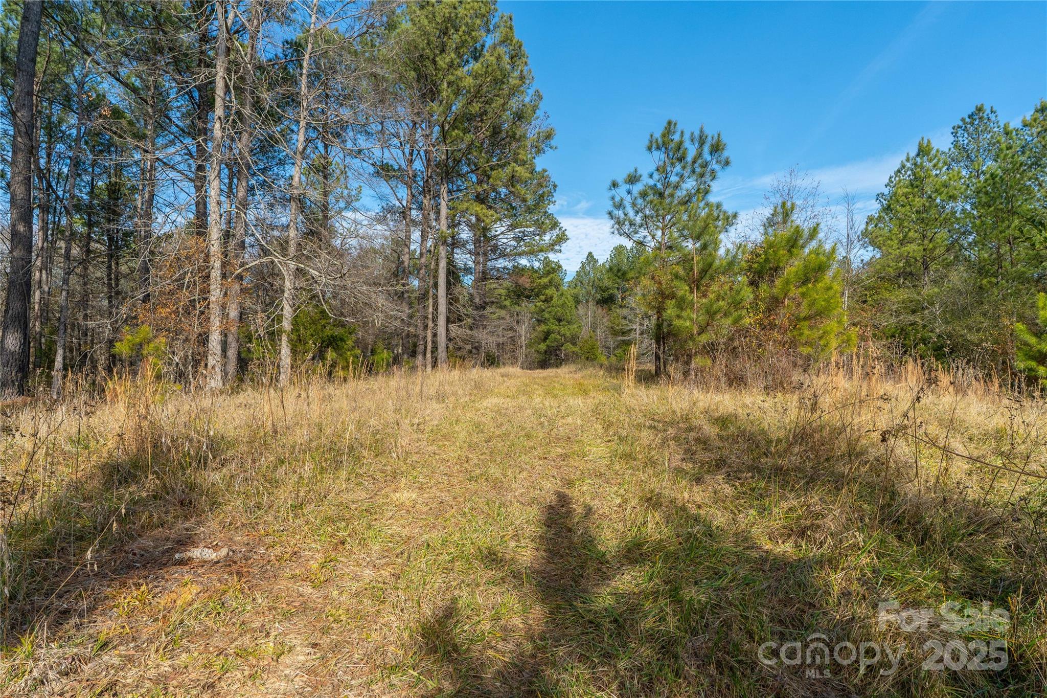 0 Quarter Round Road, Unit 9 Pacolet, SC 29372 - Photo 37 of 46 a view of mountains in a yard