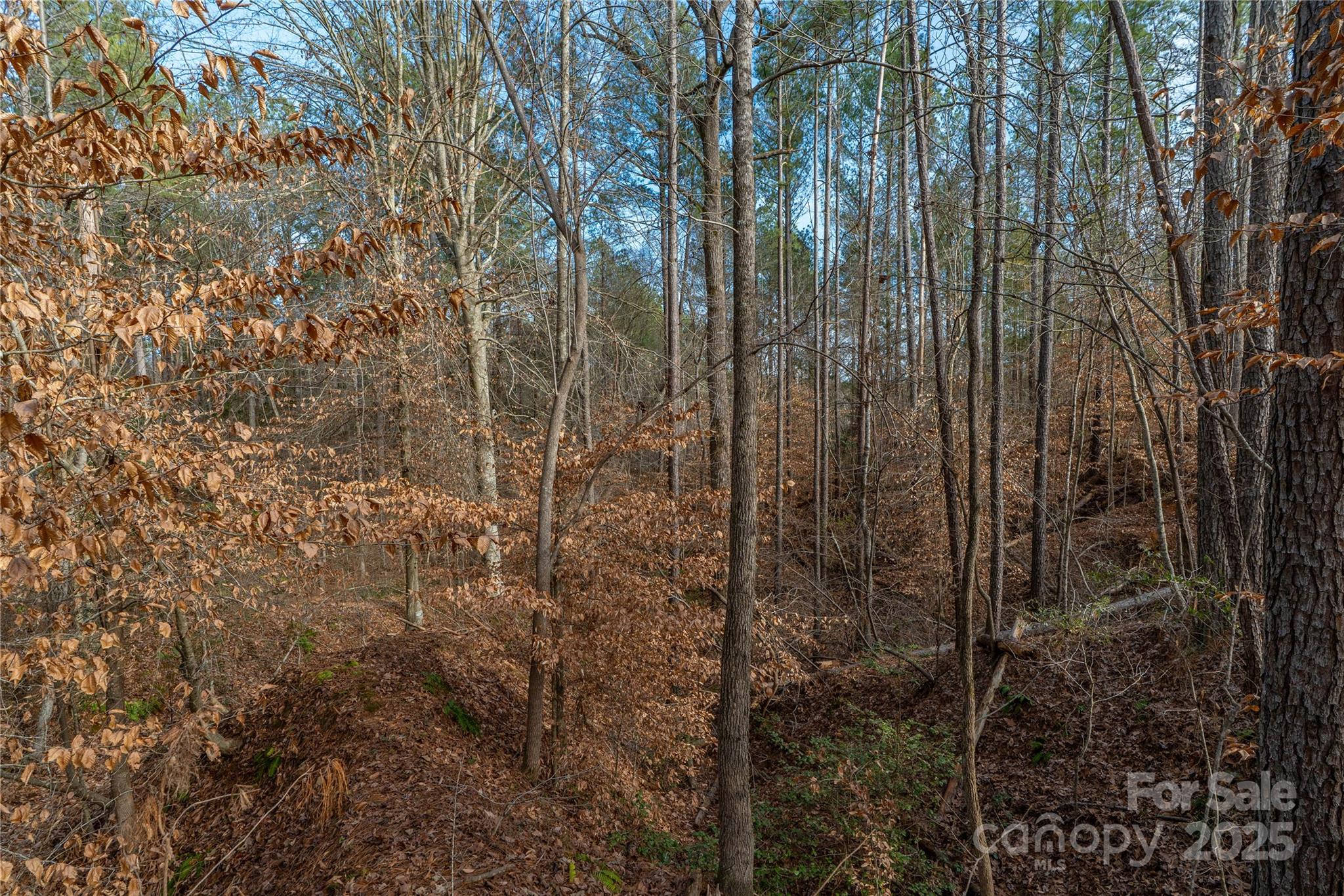 0 Quarter Round Road, Unit 9 Pacolet, SC 29372 - Photo 38 of 46 a view of a bathroom with shower and yard