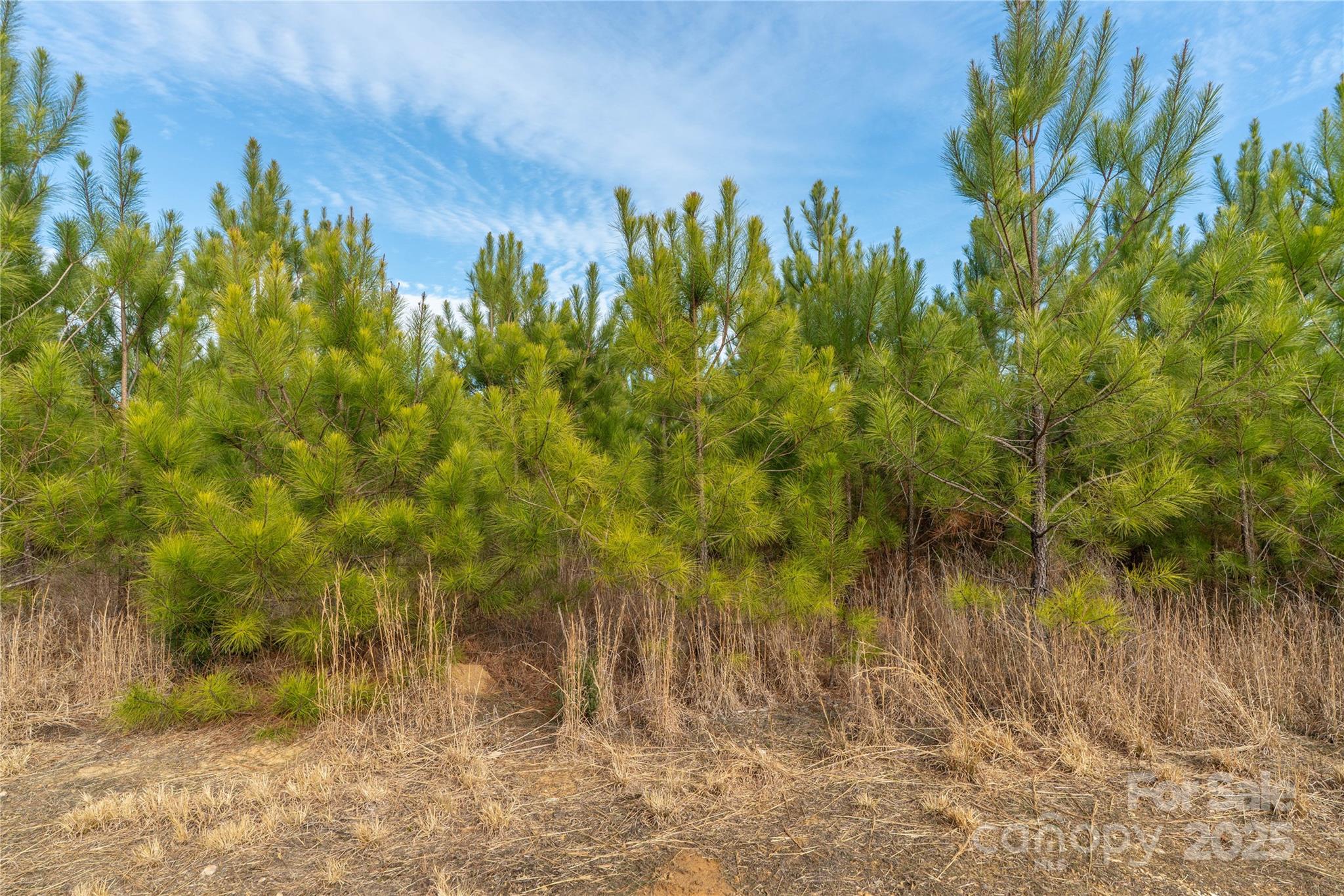 0 Quarter Round Road, Unit 9 Pacolet, SC 29372 - Photo 39 of 46 a view of a yard with a tree