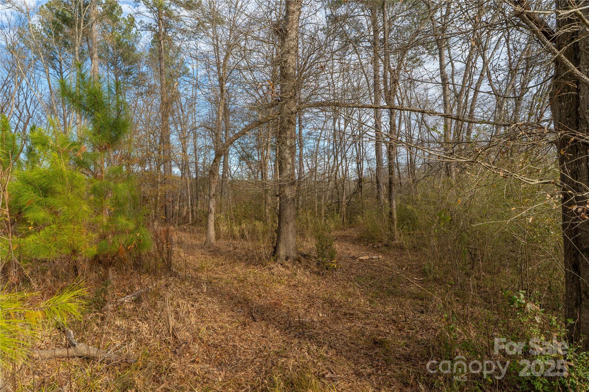 0 Quarter Round Road, Unit 9 Pacolet, SC 29372 - Photo 42 of 46 a view of a yard with large trees