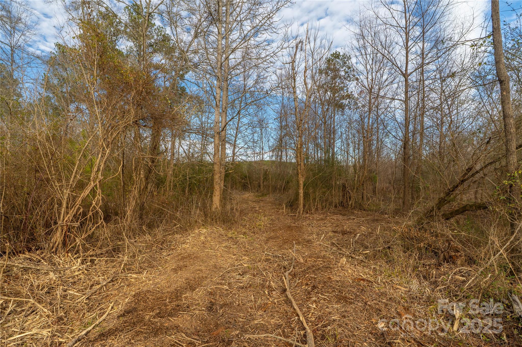 0 Quarter Round Road, Unit 9 Pacolet, SC 29372 - Photo 43 of 46 a view of backyard with green space