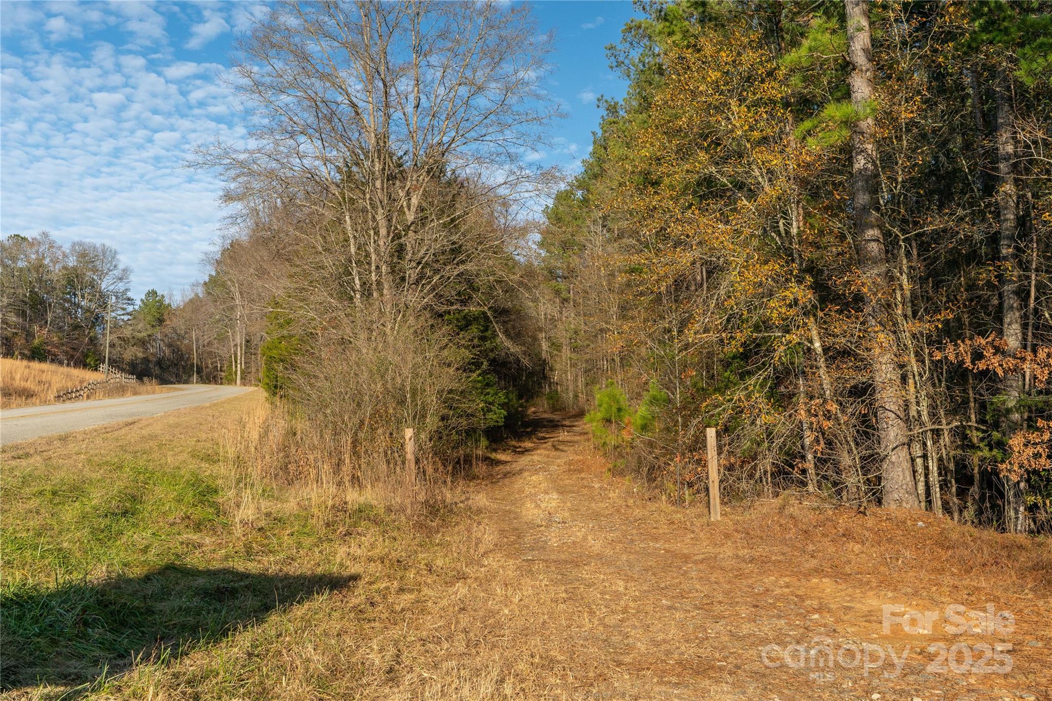 0 Quarter Round Road, Unit 9 Pacolet, SC 29372 - Photo 45 of 46 a view of a yard with large trees