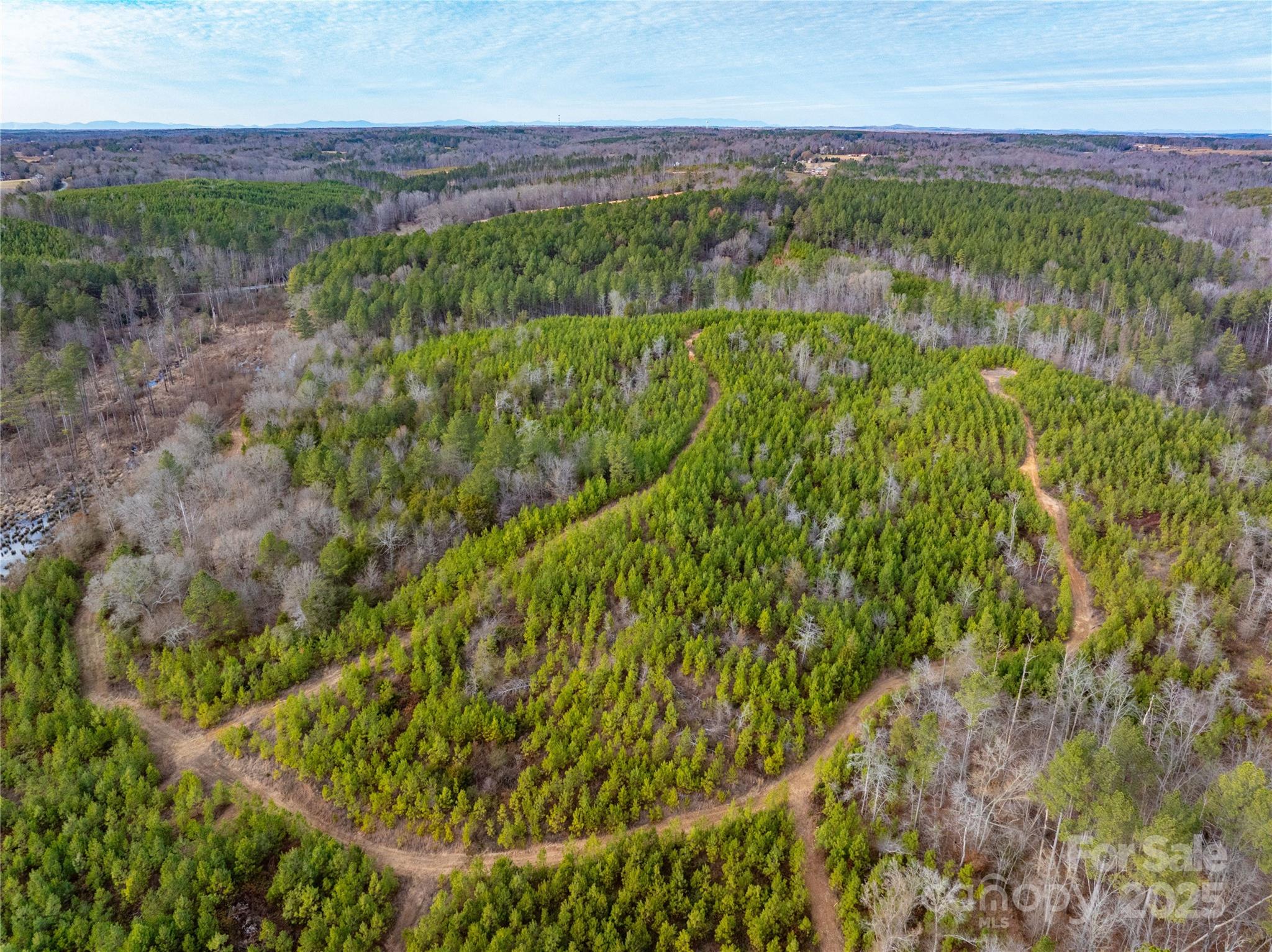 0 Quarter Round Road, Unit 9 Pacolet, SC 29372 - Photo 5 of 46 a view of a lush green forest with lots of trees