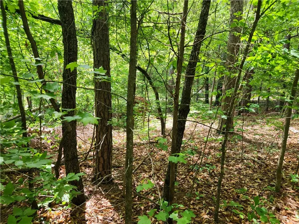$8,500 | 0 Holden Drive, Westminster, SC 29693