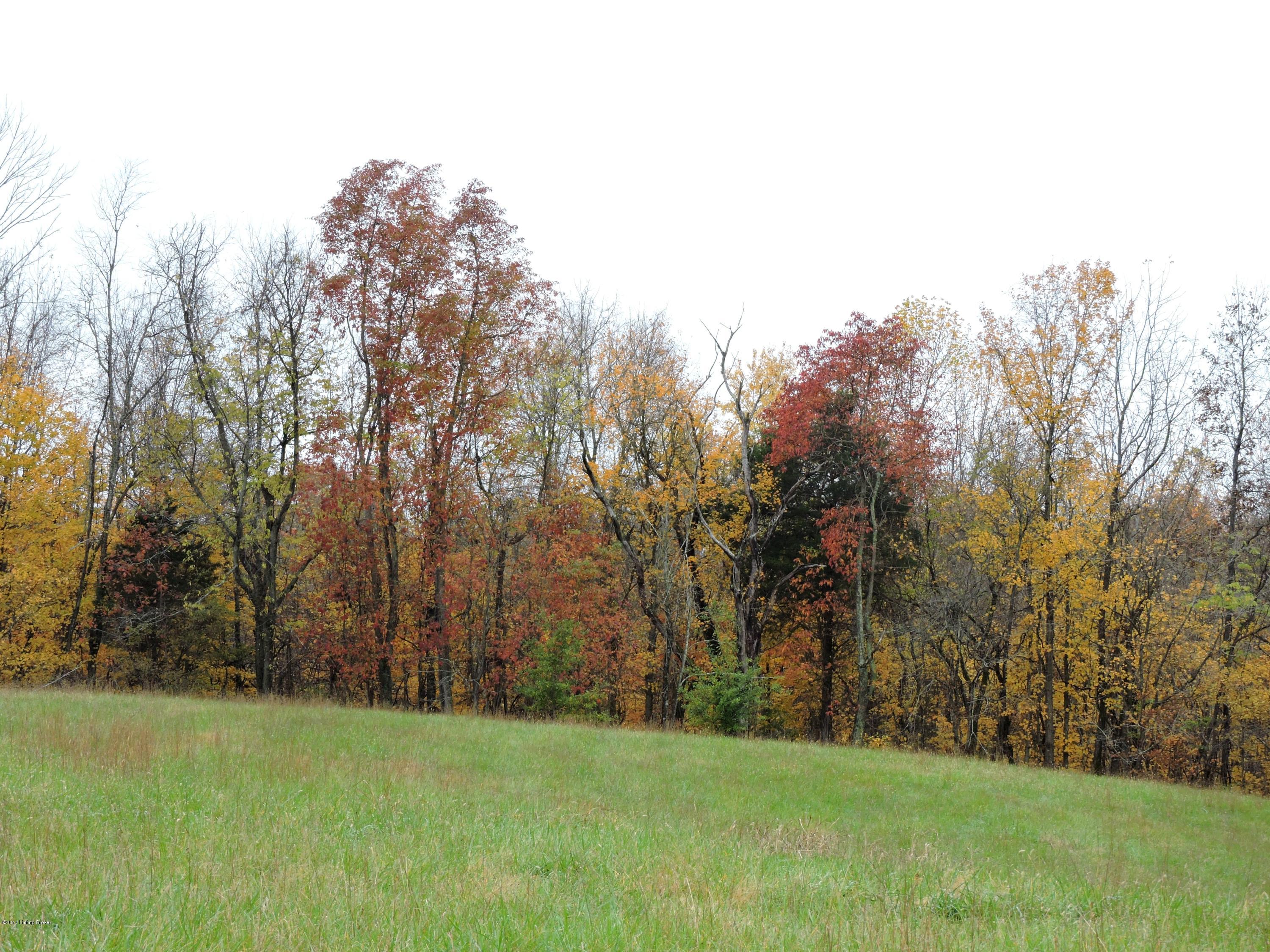 Lot 1-2-3 Lot 1-2-3 Drake Ridge Road Bloomfield, KY 40008 - Photo 14 of 22 DSCN7646