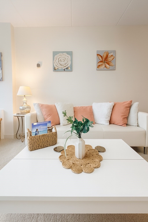 200 Swanton Street, Unit T28 Winchester, MA 01890 - Photo 3 of 35