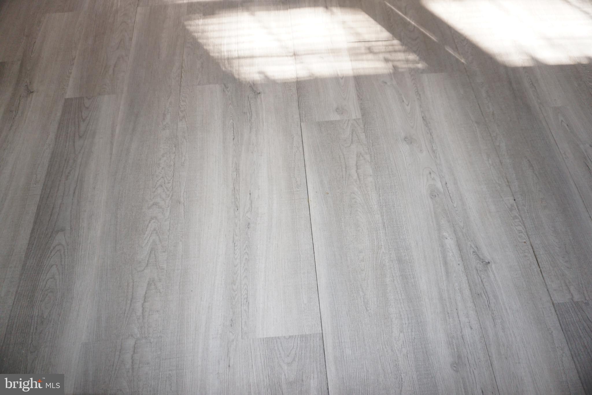 1001 Nottingham Road Elkton, MD 21921 - Photo 18 of 20 a close view of shower curtain