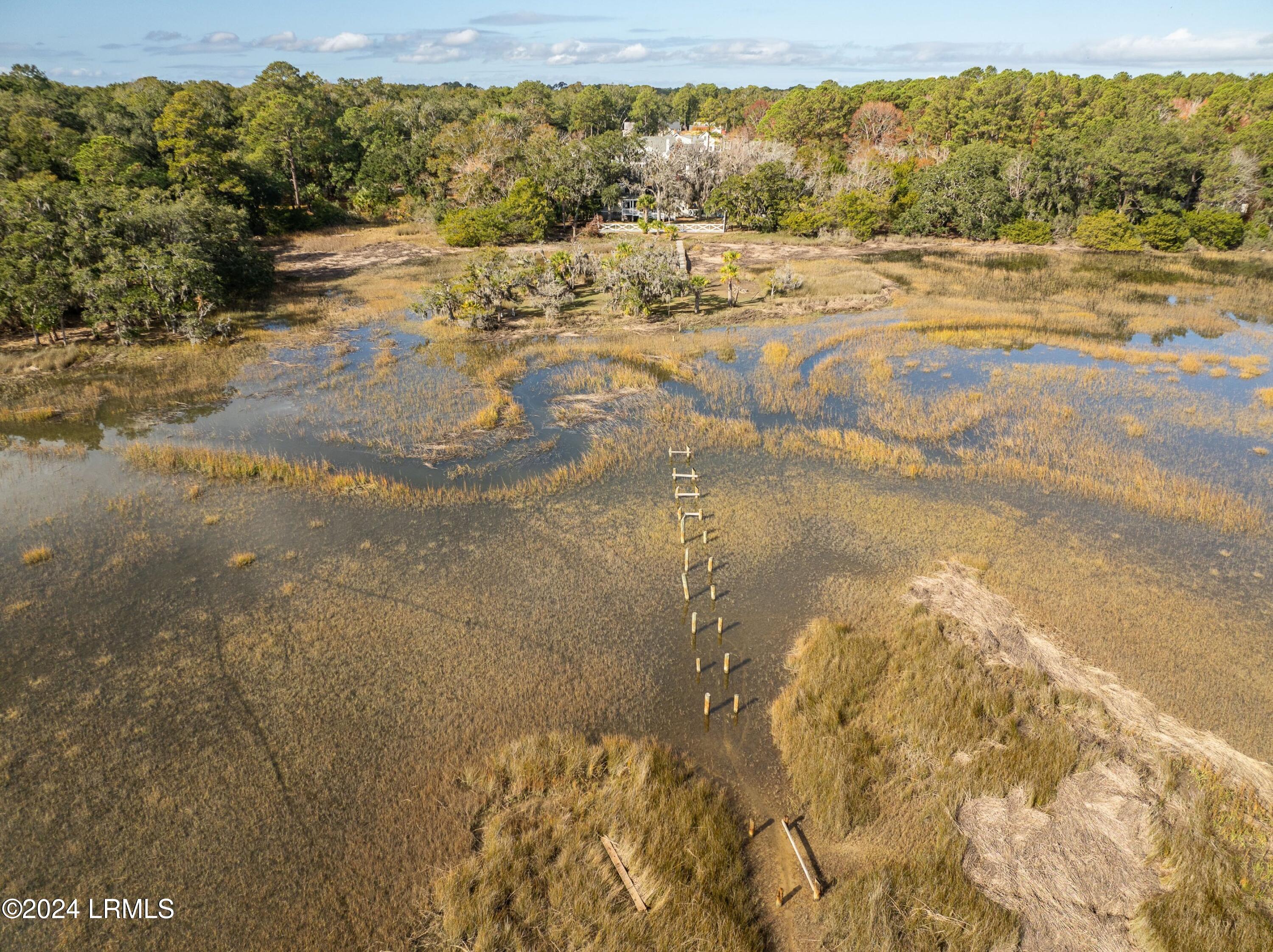 58 Little Capers Road Beaufort, SC 29907 - Photo 11 of 72 DJI_0936.jpg-SMALL