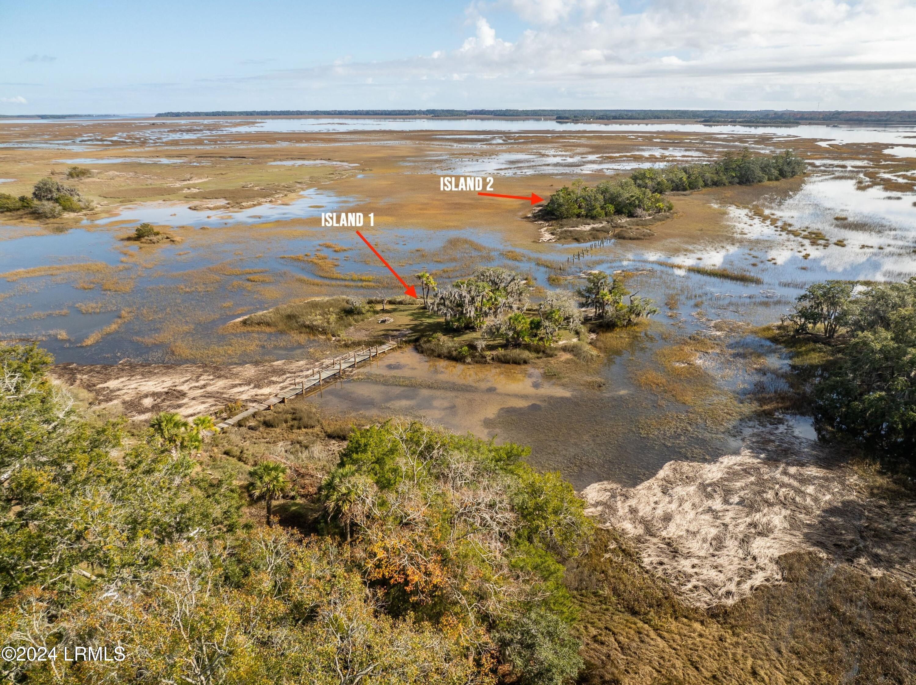 58 Little Capers Road Beaufort, SC 29907 - Photo 3 of 72 DJI_0928.jpg-SMALL
