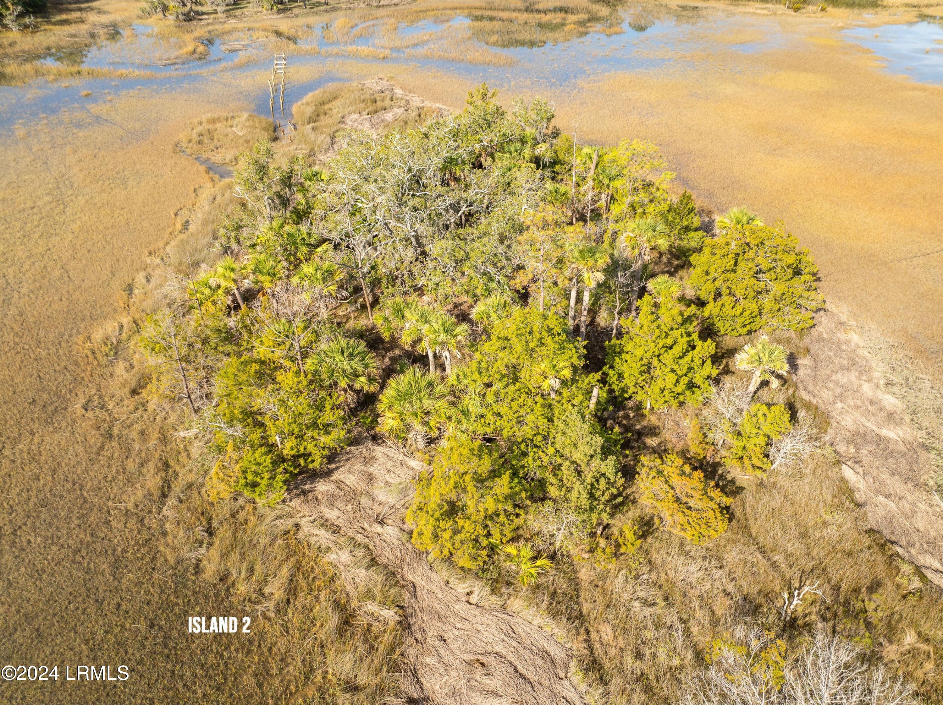 58 Little Capers Road Beaufort, SC 29907 - Photo 10 of 72 DJI_0935.jpg-SMALL