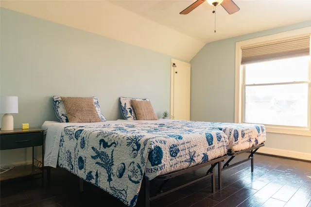 a view of palm trees