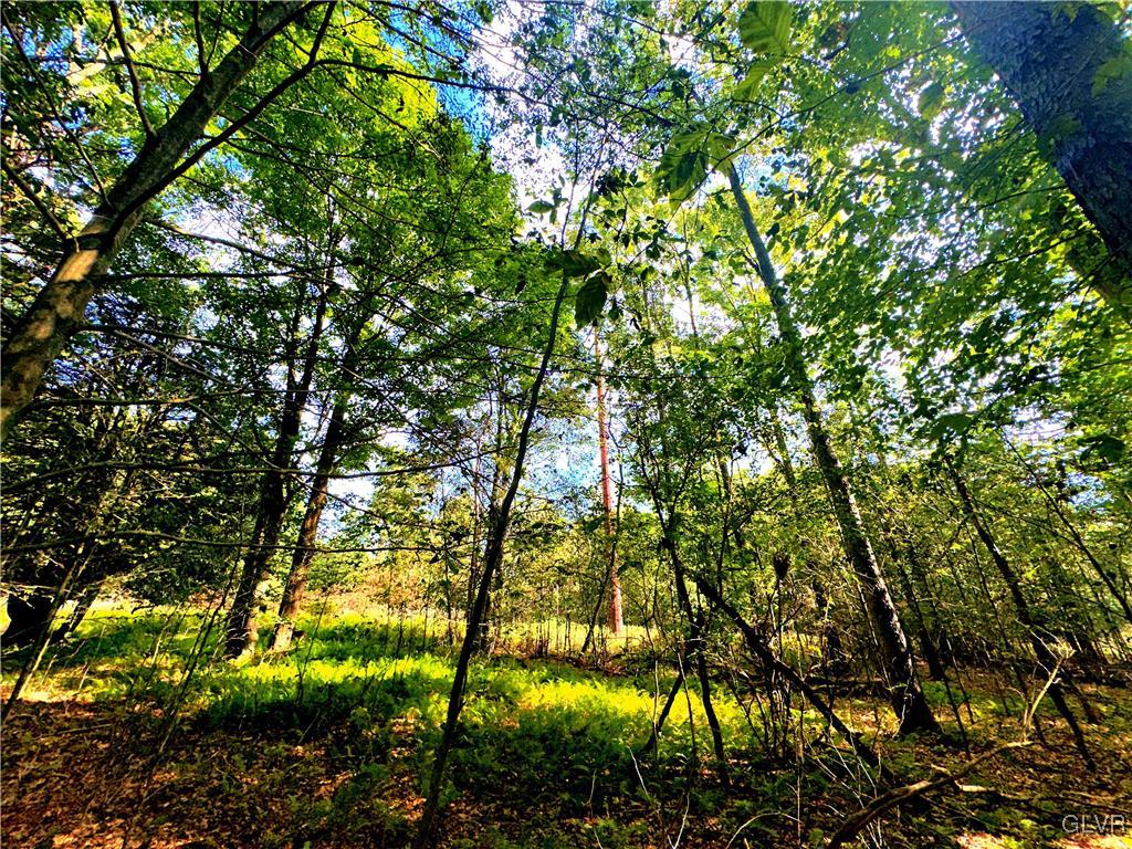 21 Ridge Road Pocono Lake, PA 18347 - Photo 8 of 12 4 Lots Total