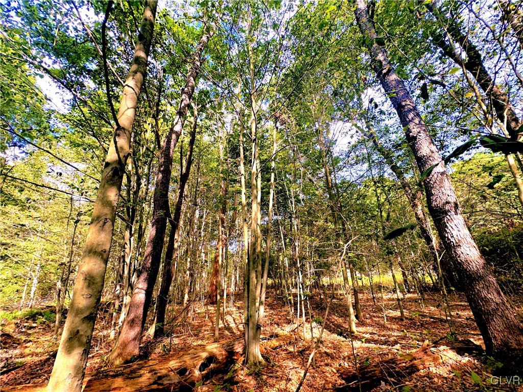 21 Ridge Road Pocono Lake, PA 18347 - Photo 9 of 12 1.84 Acres!